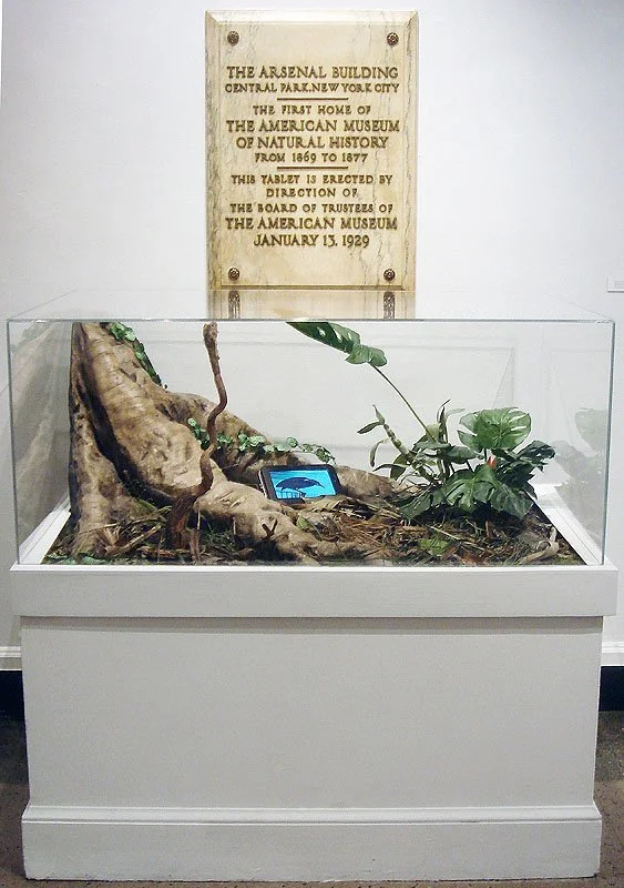 Lowland Tropical Rainforest Displacement. 2006/2007. Mixed Media Sculpture with video by Valerie Druguet and David Rosane
