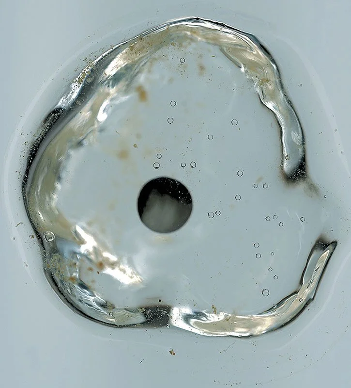 Wood Frog Egg, Rana sylvatica at 12 hours. 2000/01. Iris prints on Arches watercolor paper. Edition size of 3 plus one artist\'s proof and one printer\'s proof. 46 x 34 inches.