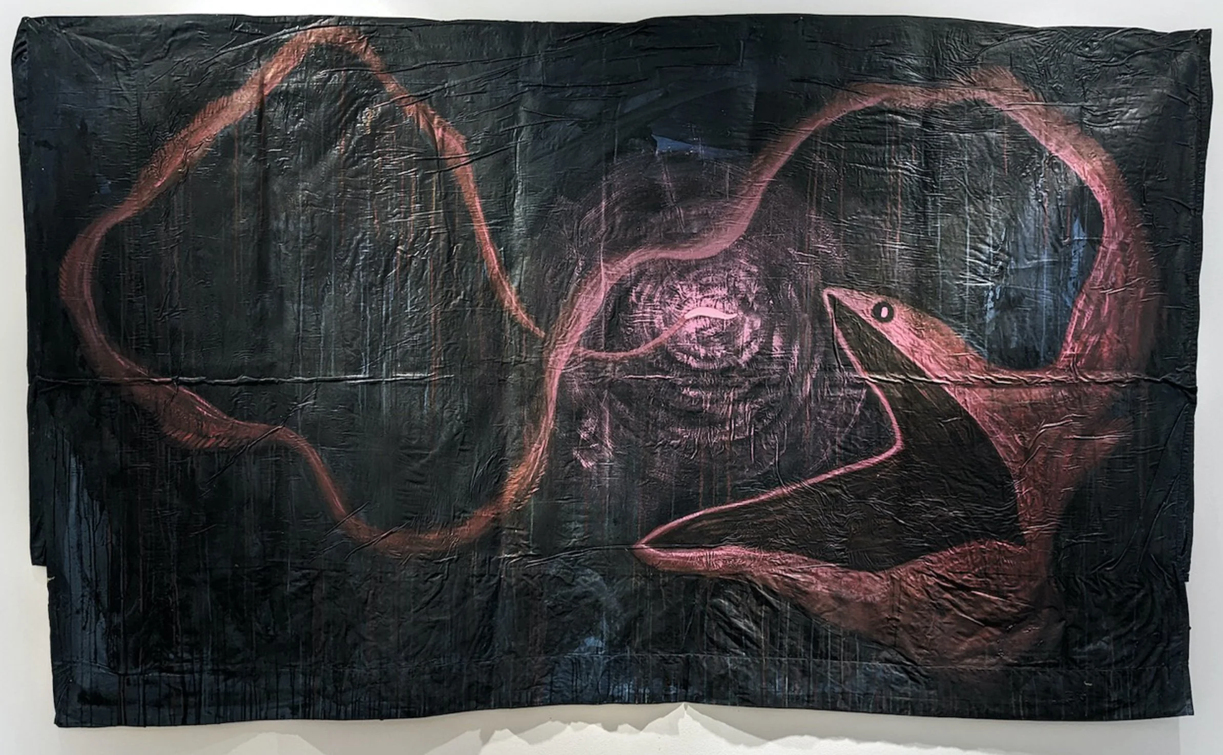 SOS Pelican Eel
2023
56 by 98 inches, repurposed house paint on thrifted bed sheets.
Portrait of a Pelican eel (Eurypharynx pelecanoides) a deep ocean species put at risk from new deep water mining activities. 