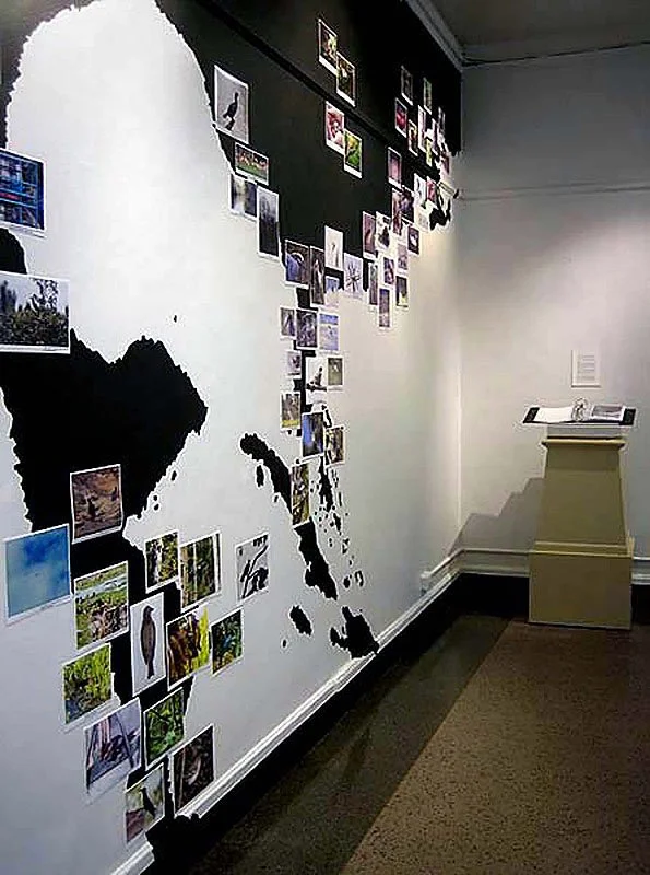 The Great Atlantic Flyway. 2005/07. Site-specific installation.