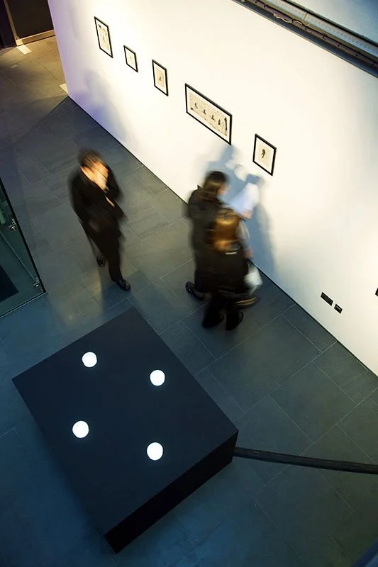 Styx: Variations IV. 2010. Royal Institution of Great Britain, London, England. Mixed media installation: cleared and stained Pacific treefrogs on sculptural light-box. In scientific collaboration with Stanley K. Sessions. Photograph by Kristian Buss