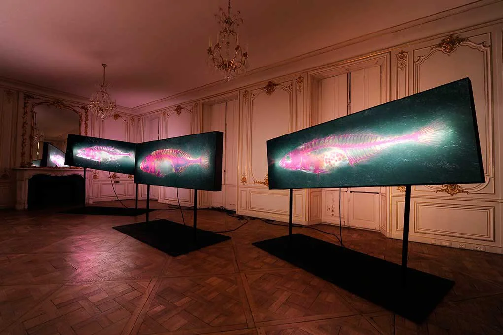 Overview. 2012/2013. Duratrans prints on double sided light-boxes. 1 meter by 3 meters each. Photo by Laurence Godart