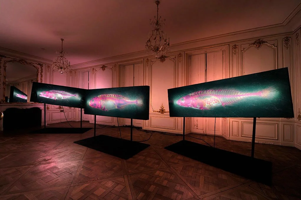 Overview. 2012/2013. Duratrans prints on double sided light-boxes. 1 meter by 3 meters each. Photo by Laurence Godart