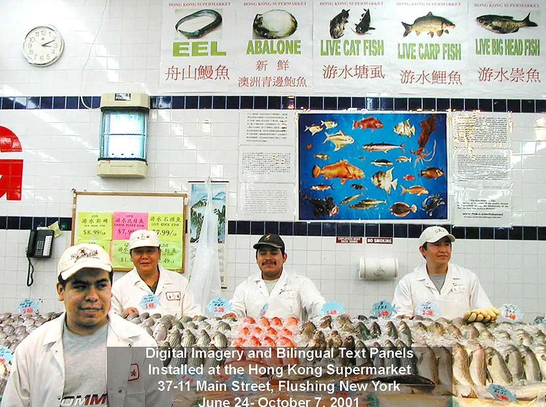 Honk Kong Supermarket, Queens, NY, 2001.