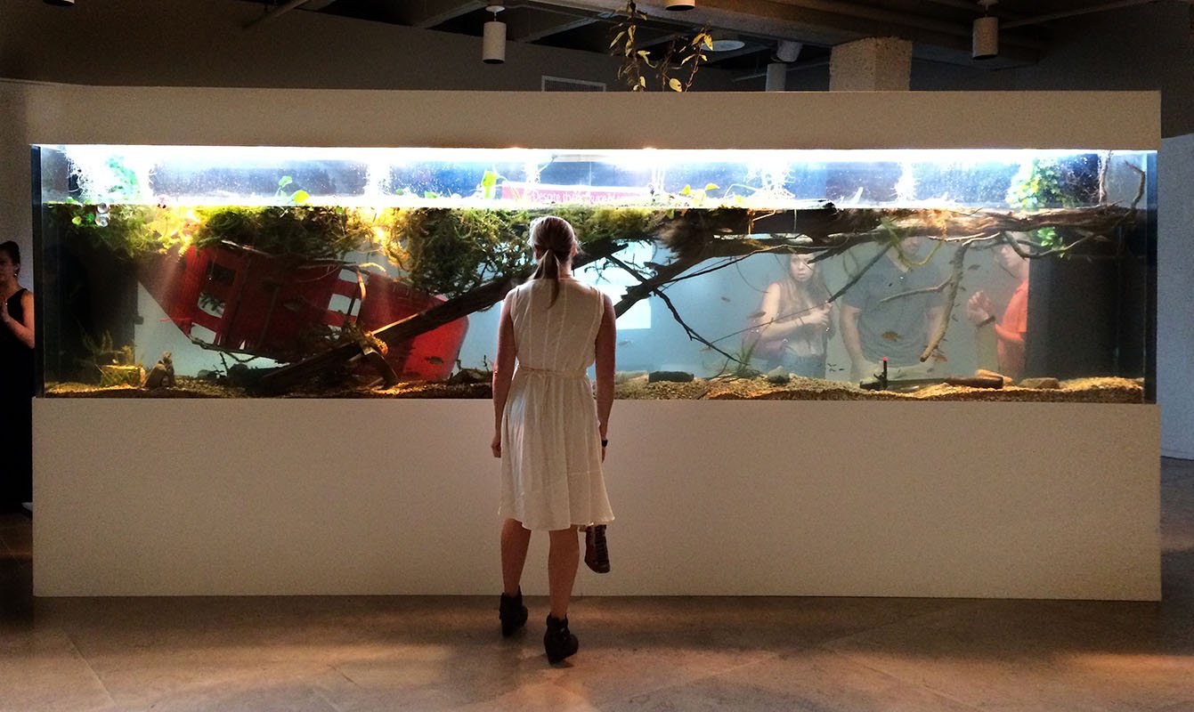 Mississippi Delta Eco-Displacement. Installed at Acadiana Center for the Arts, Lafayette, LA, 2014. Aquatic organisms, detritus. 8 x 16 x 2 feet.