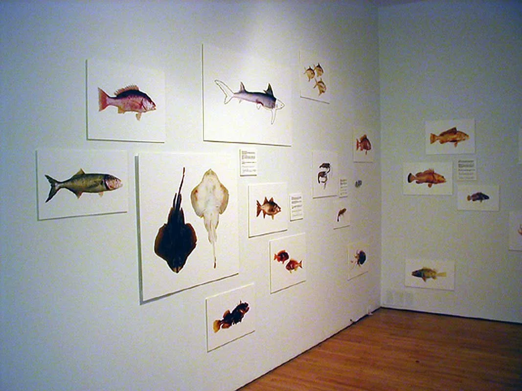 Queens Museum of Art, Queens, NY, 2001.