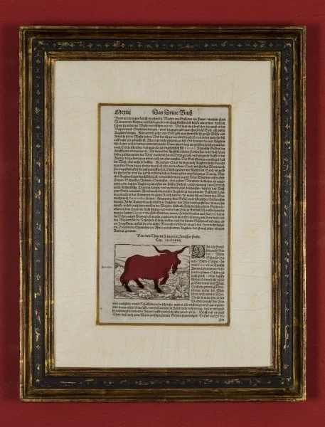 RIP Auroch: After David Kandel, 1592/2015, Artist cut and burnt woodcut, letterpress on hand laid paper, etched funerary urn and ashes, 19 1/2 x 15 x 2 inches