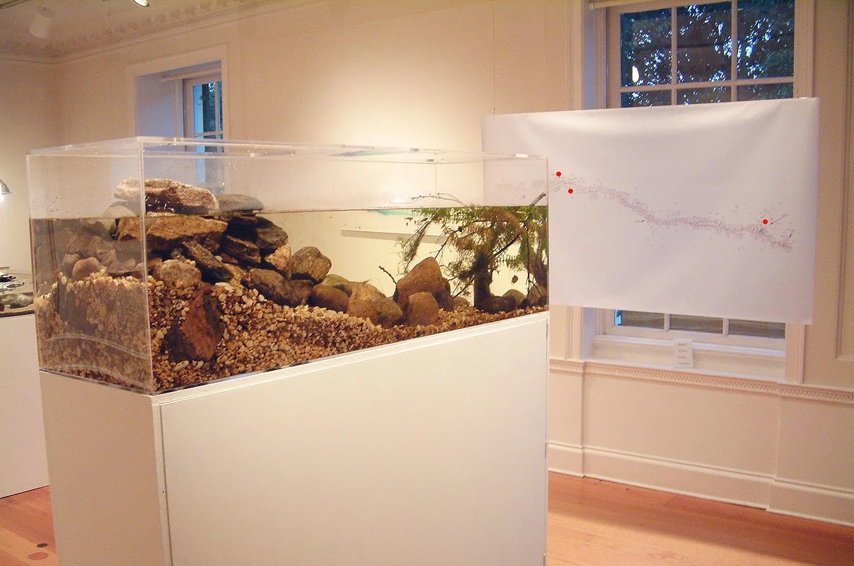 Room # 1 with Freshwater and Brackish Water Aquariums, Hudson River pollution maps and digital C-prints mounted on Plexiglas. Room size approximately 27 x 17 x 10 feet.