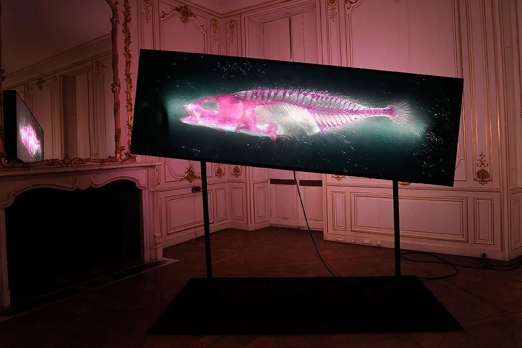 Overview. 2012/2013. Duratrans prints on double sided light-boxes. 1 meter by 3 meters each. Photo by Laurence Godart