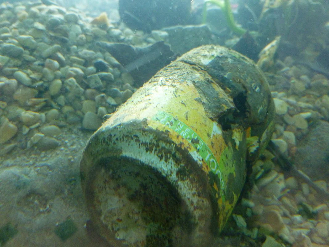 Chamarande Eco-­Displacement. Installed at Chateau du Domaine de Chamarande, Chamarande, France, 2013. Aquatic organisms, detritus from the nearby Cressionière. 7 x 9 x 2 feet.