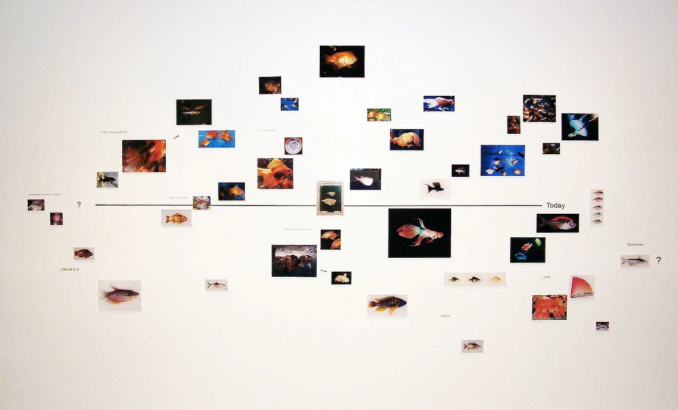 Living Gems. 2003. Exhibited at The International Center for Photography, New York, NY, USA, 2003. In scientific collaboration with in collaboration with Hong Suk Michael Oh and Peter Warny.