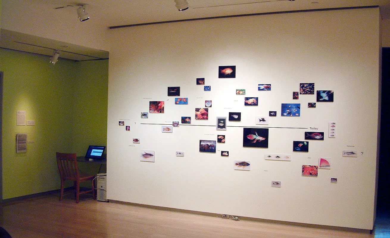 Living Gems. 2003. Exhibited at The International Center for Photography, New York, NY, USA, 2003. In scientific collaboration with in collaboration with Hong Suk Michael Oh and Peter Warny.