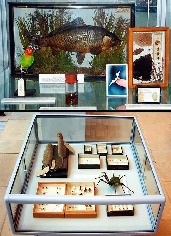 From Farm to Pharm. Gallery Oldham, Greater Manchester, UK, Fall 2002. Natural History Museum, Darwin Centre, London, Summer 2003.