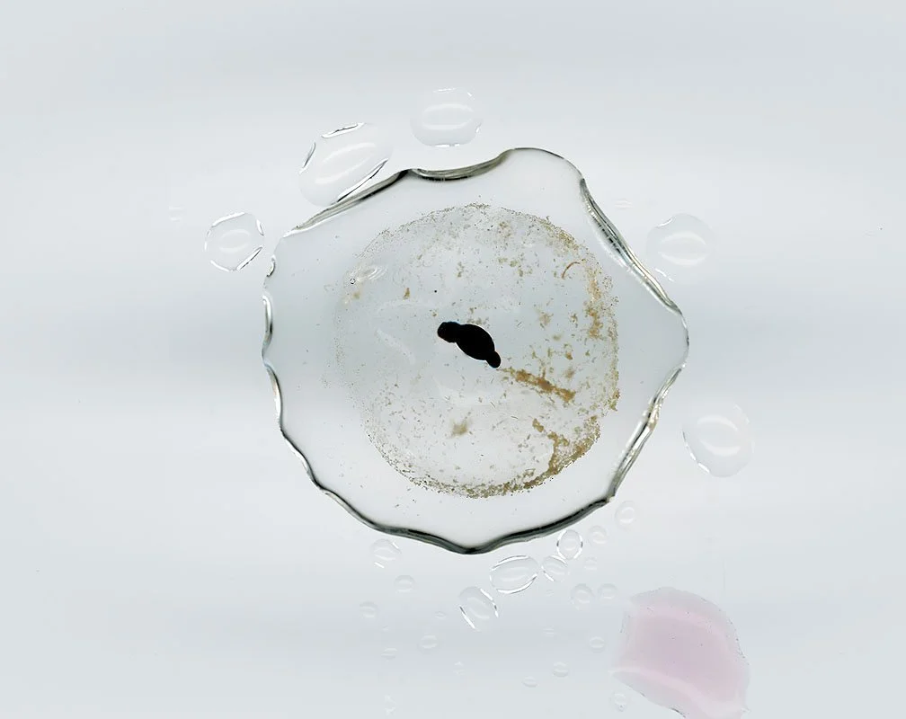 Wood Frog Egg, Rana sylvatica at 30 hours. 2000/01. Iris prints on Arches watercolor paper. Edition size of 3 plus one artist\'s proof and one printer\'s proof. 34 x 46 inches.