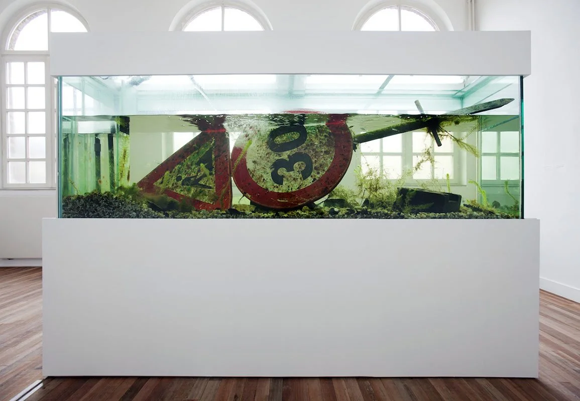 Sittard\'s Industrial Canal Eco-Displacement. Installed at Museum Het Domein, Sittard, Netherlands, 2014. Aquatic organisms, detritus. 7 x 9 x 2 feet.