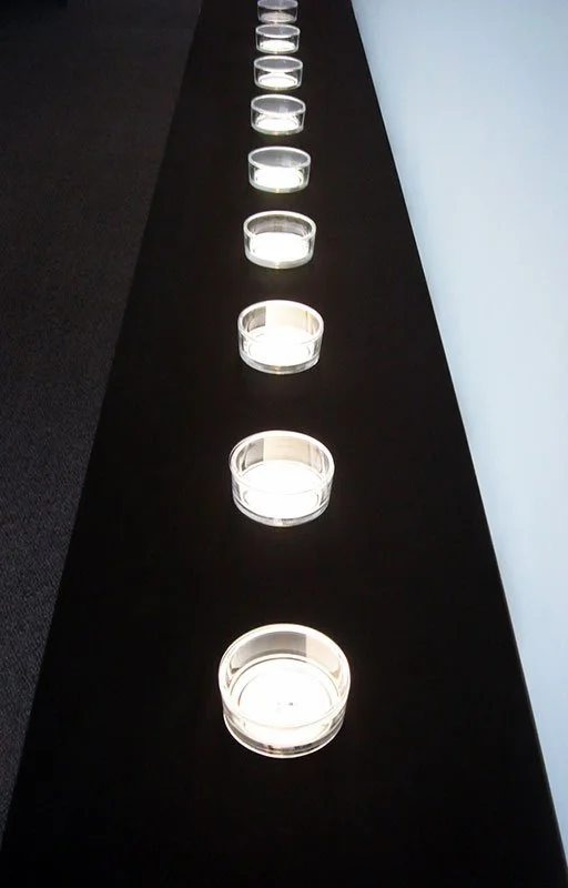 Styx: Variation I. 2007. Yerba Buena Center for the Arts, San Francisco, California, USA. Mixed media installation with 9 cleared and stained Pacific treefrogs on sculptural light-box. In scientific collaboration with Stanley K. Sessions. Photograph 
