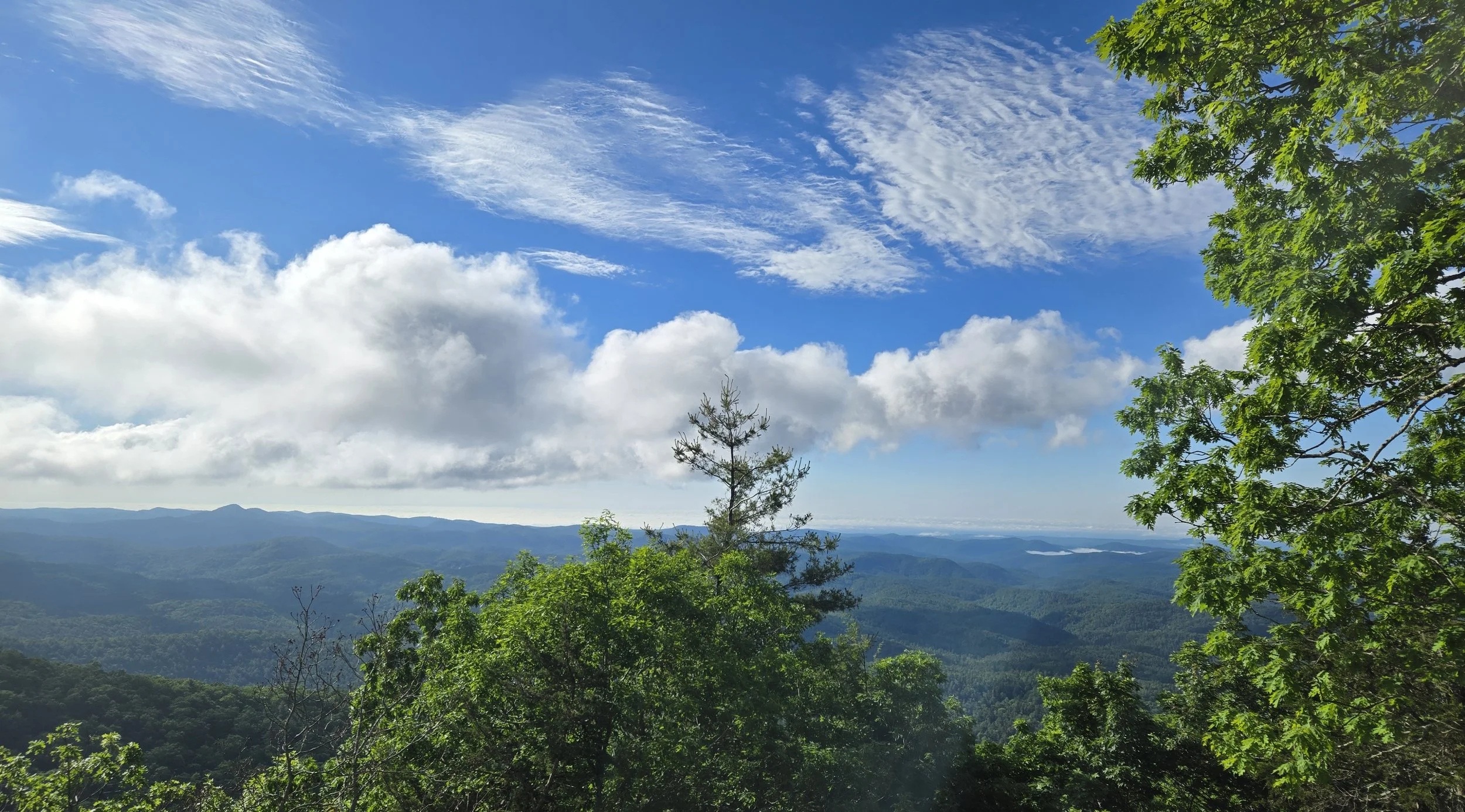 The Wisdom of Slowing Down