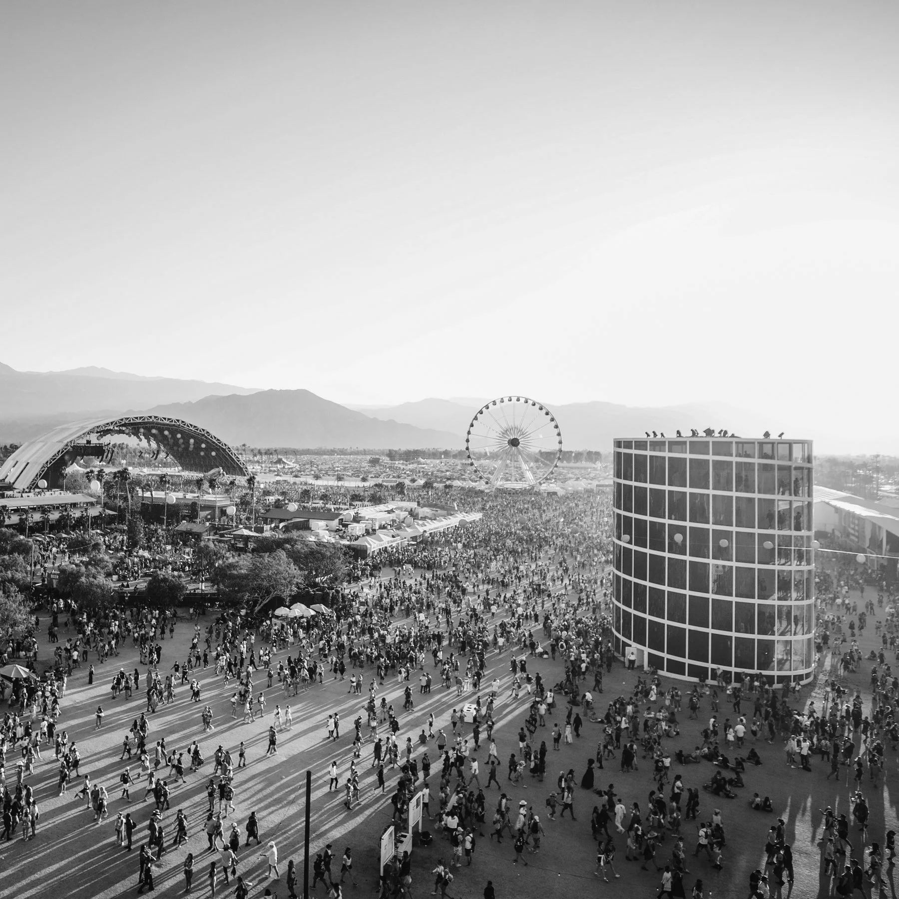 Google Pixel Coachella
