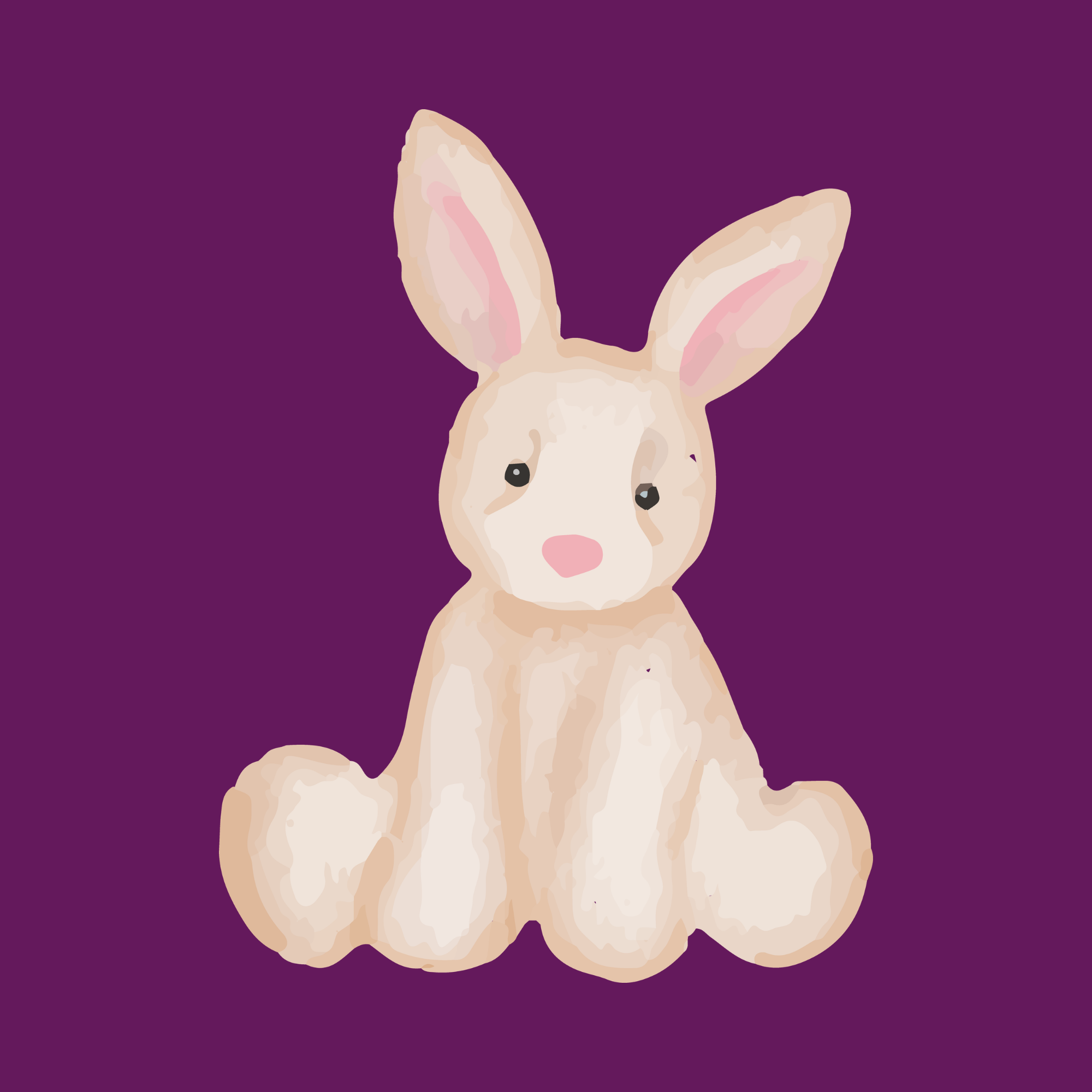 The Stuffed Bunny