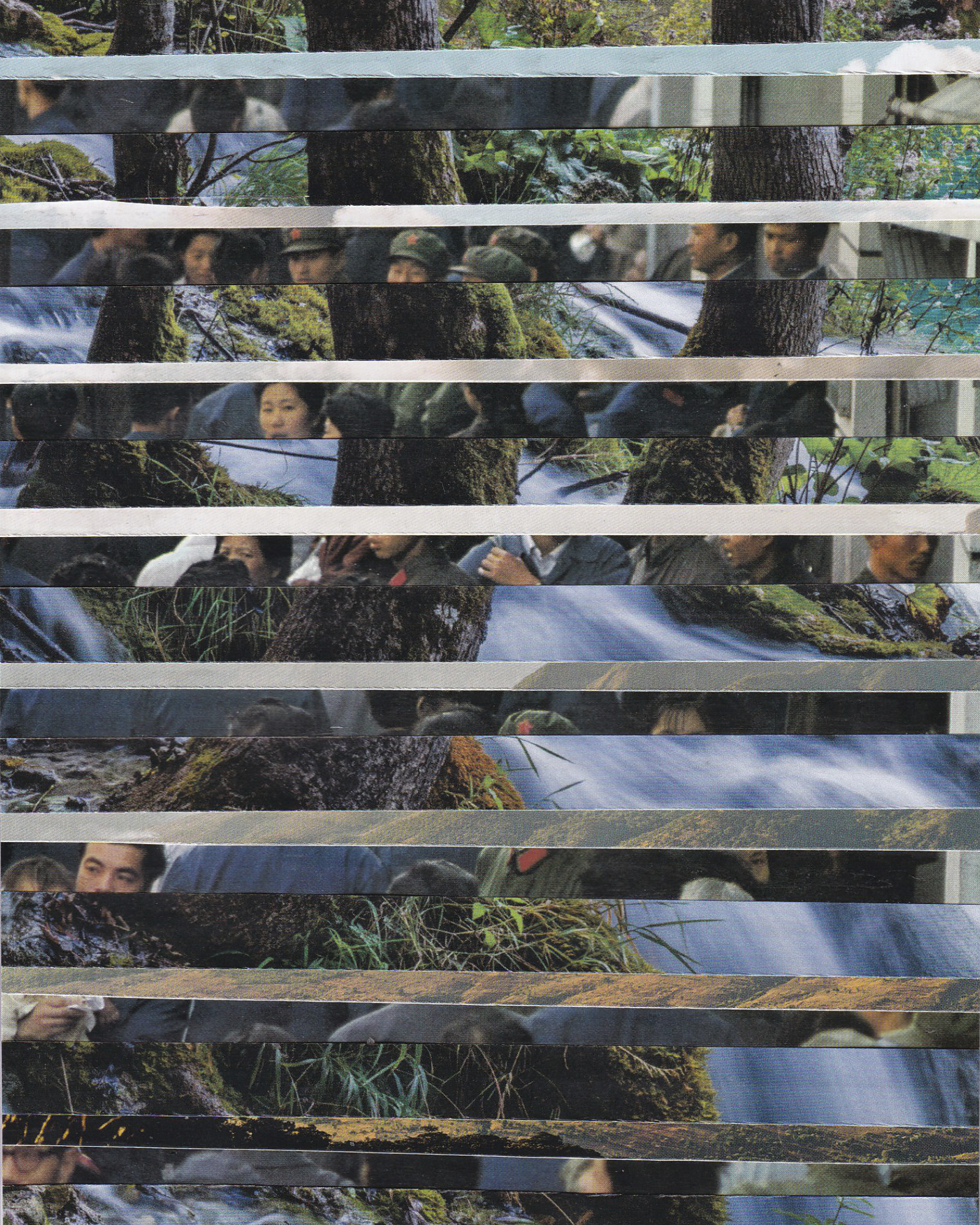 People of the Forest.png