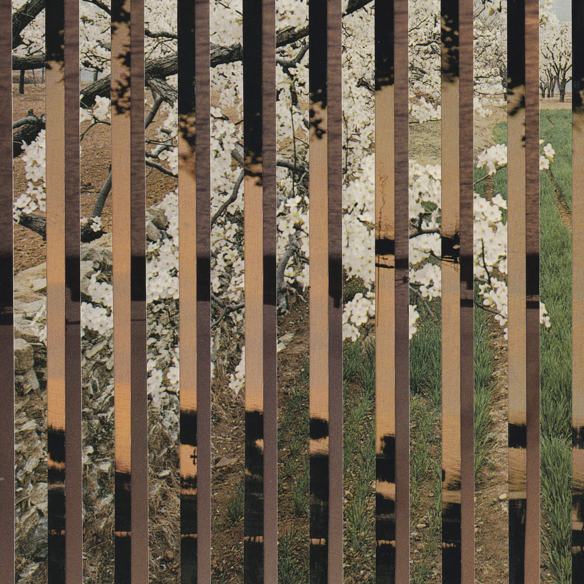 Vintage Blossoms.png