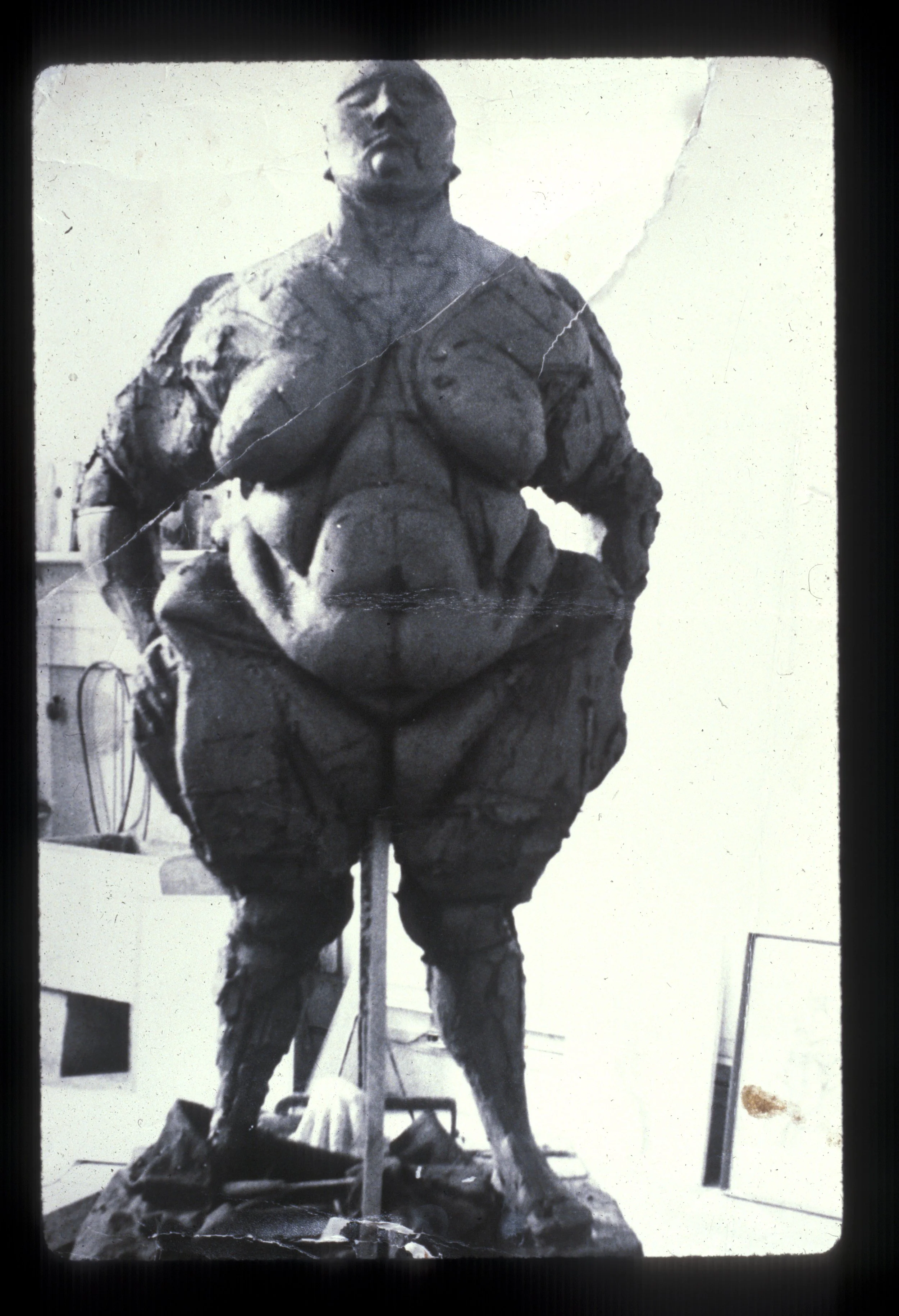 Venus 1969 Destroyed.jpg