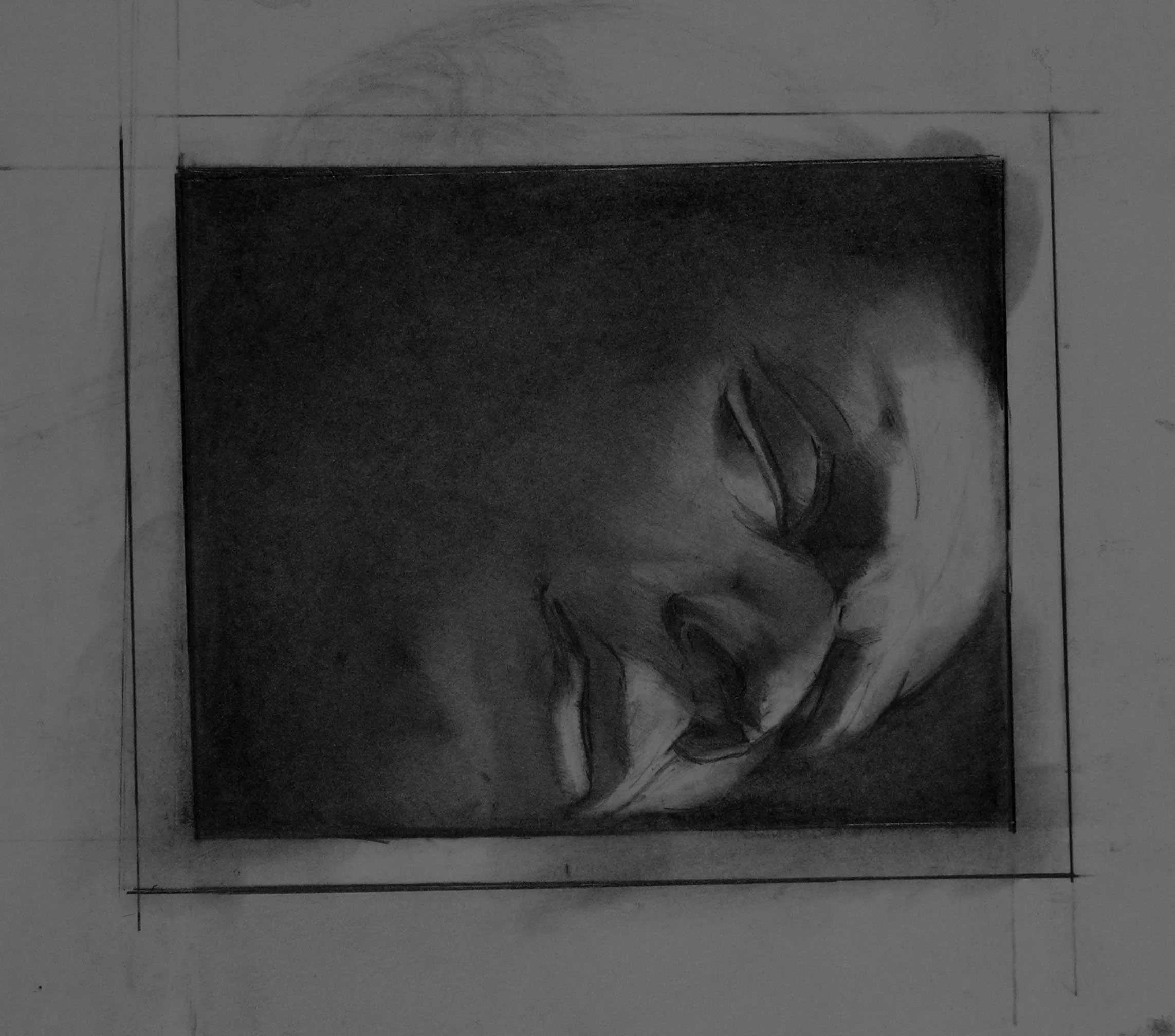 head on its Side.jpg