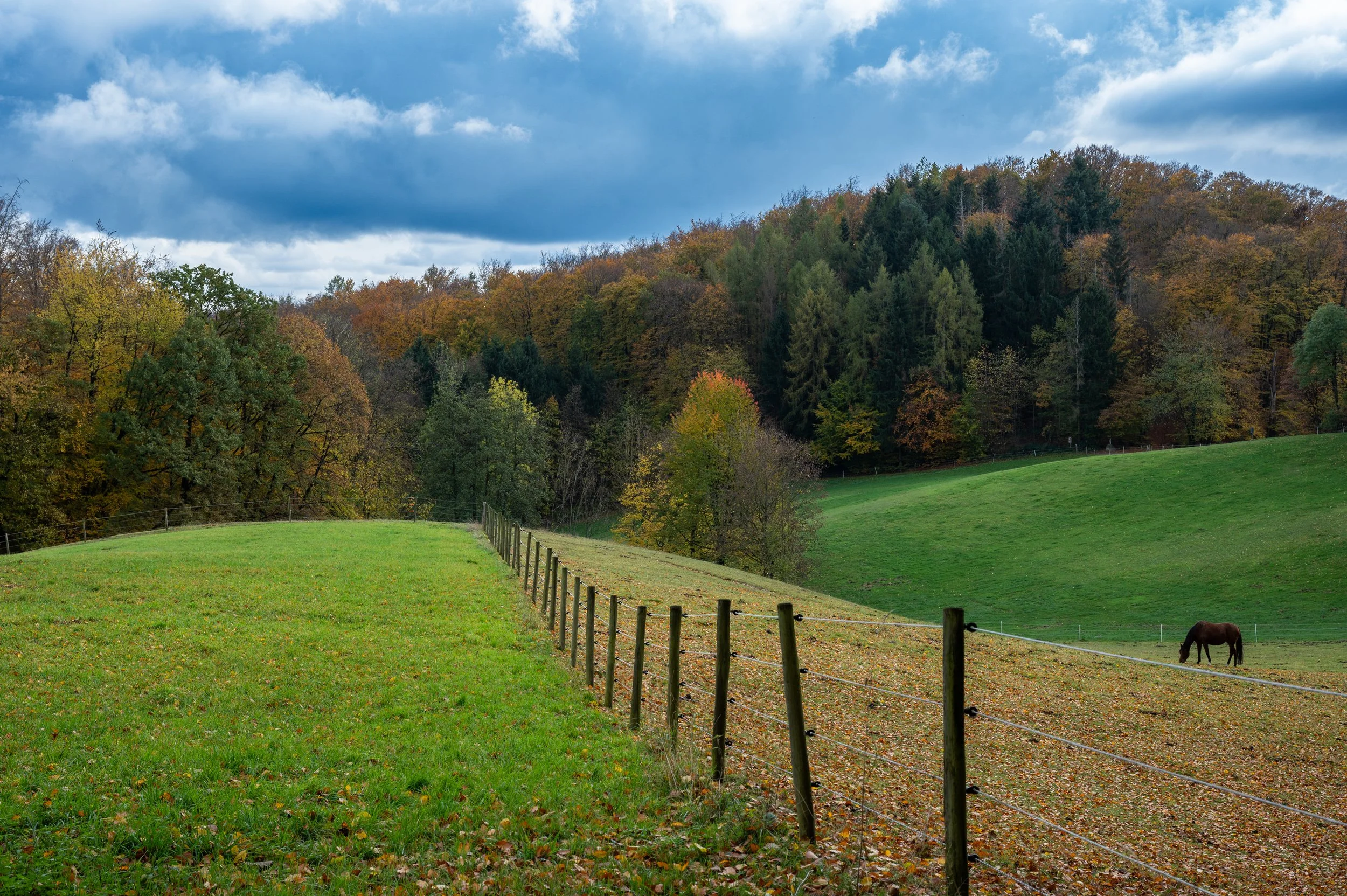 Juhöhe 2 (24 von 32).jpg