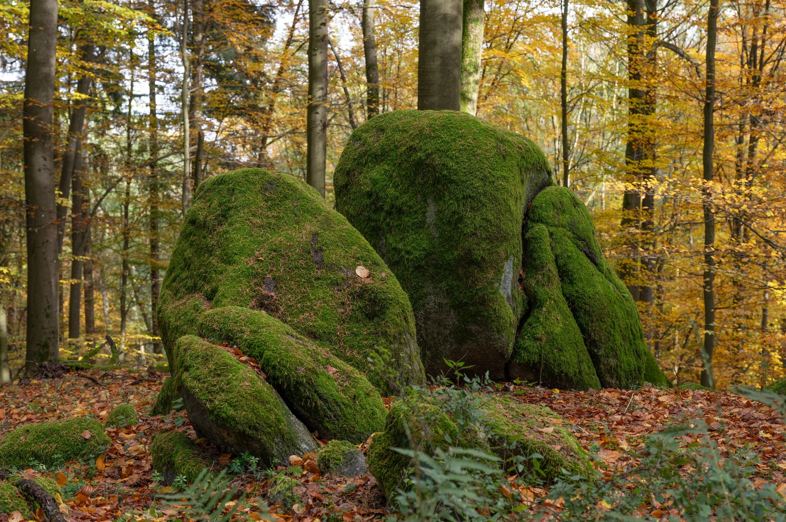 Juhöhe 2 (13 von 32).jpg