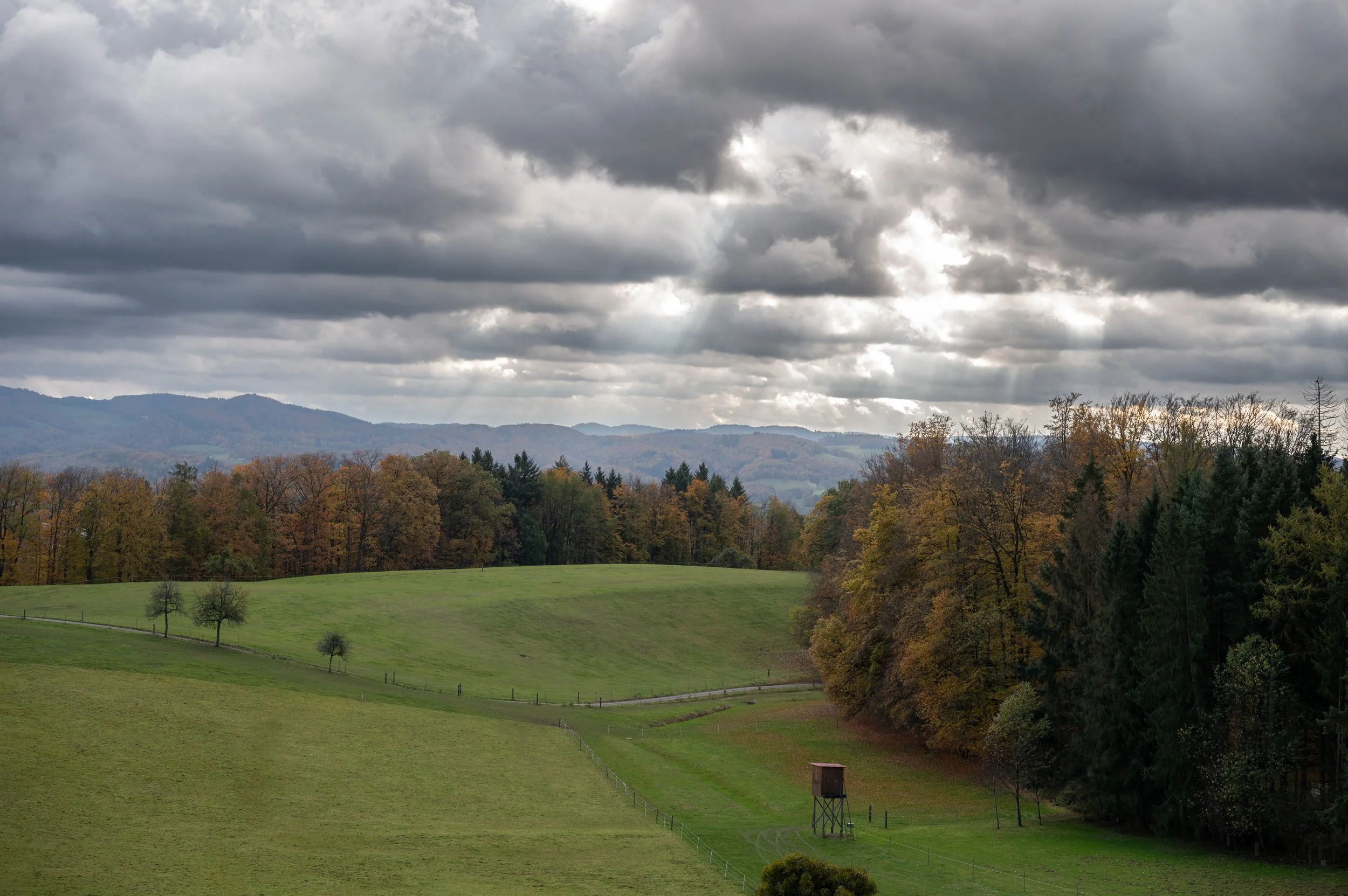 Juhöhe (8 von 31).jpg