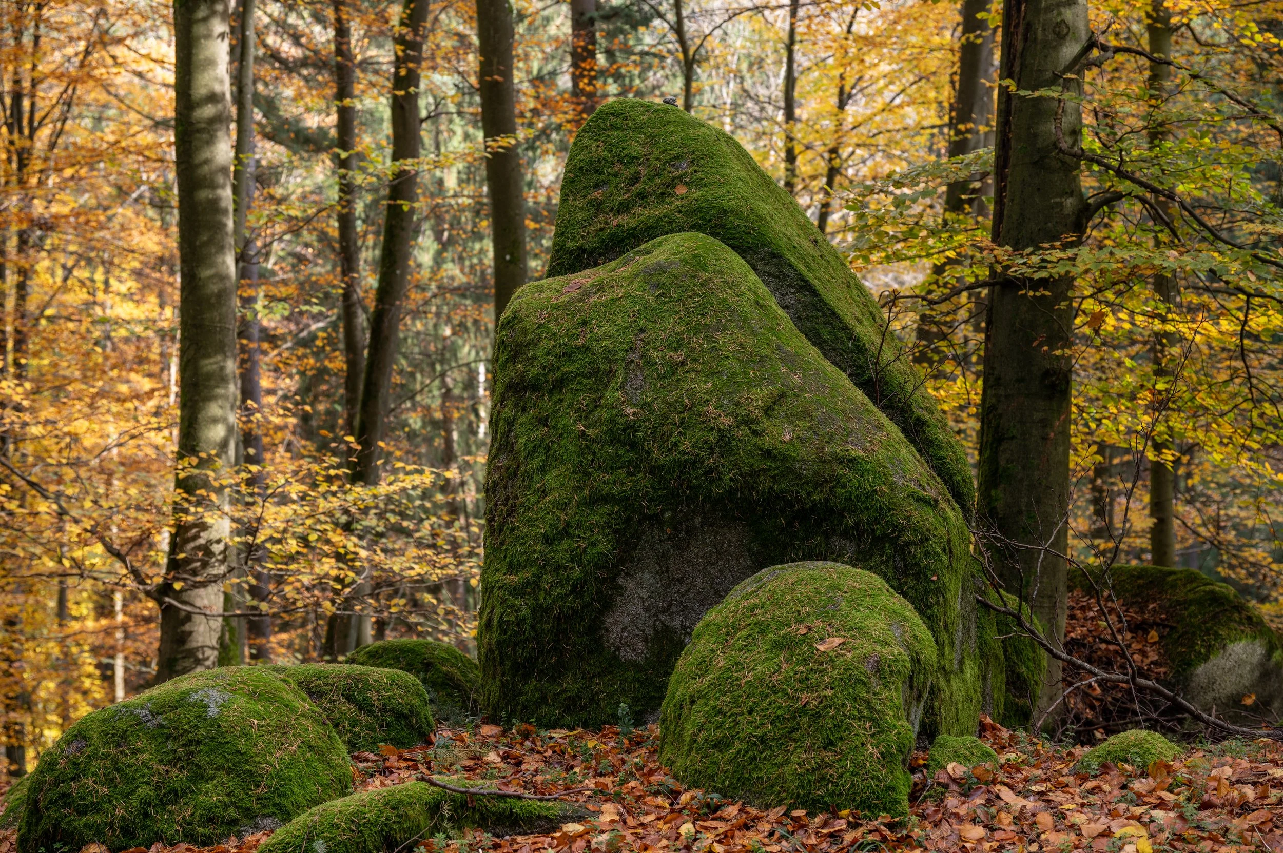 Juhöhe 2 (14 von 32).jpg
