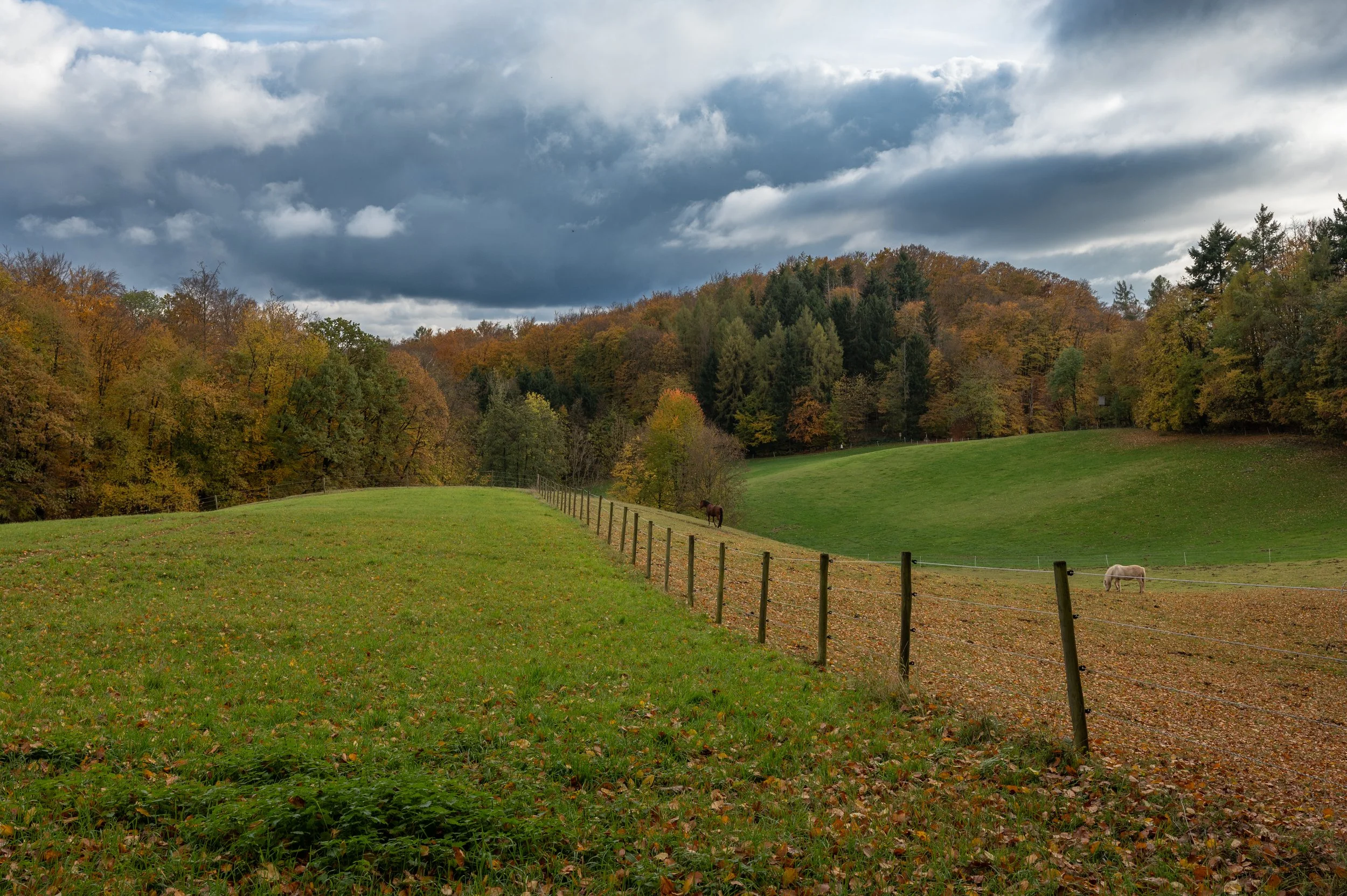 Juhöhe 2 (27 von 32).jpg