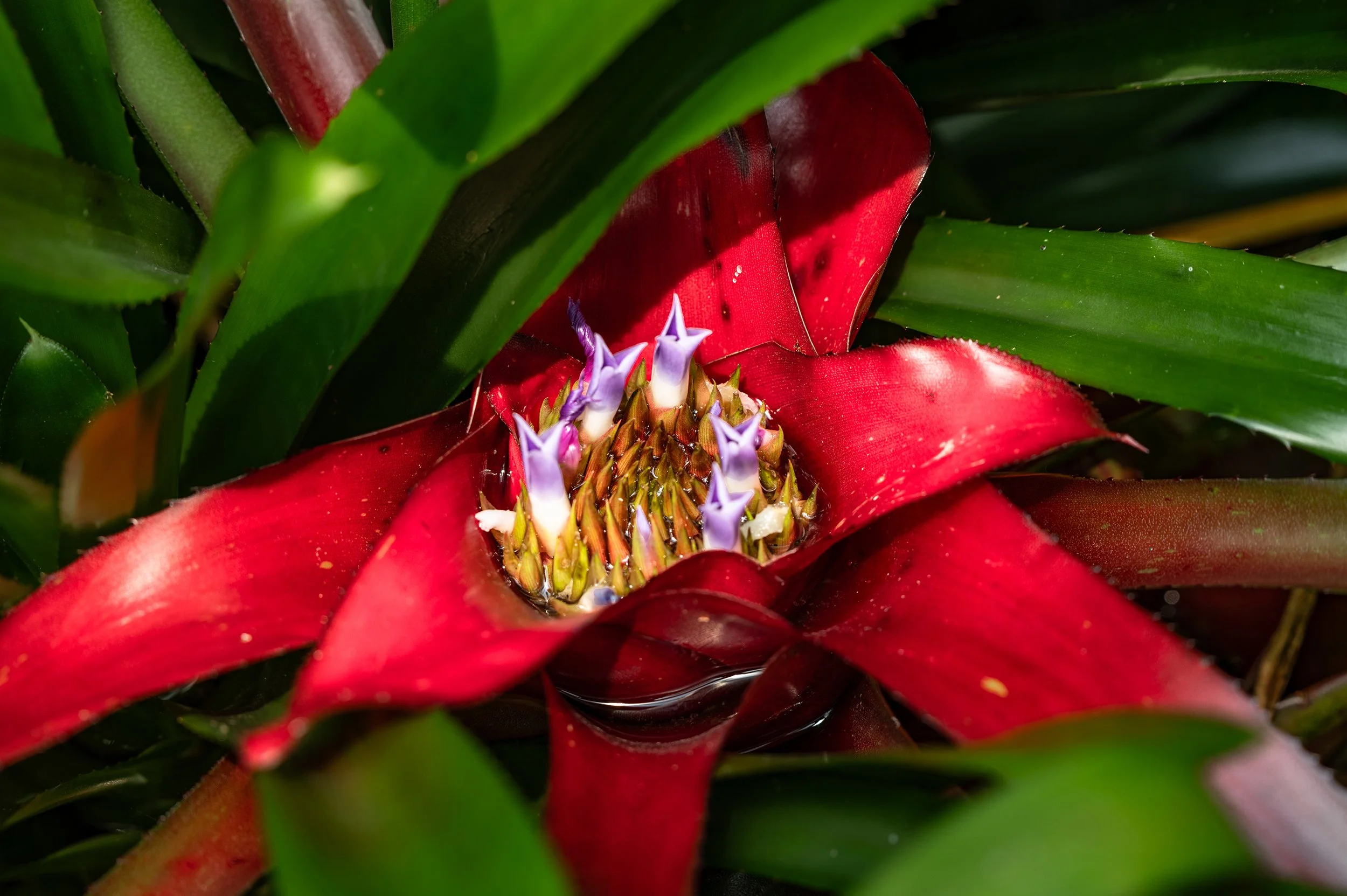 sq Palmengarten-37.jpg