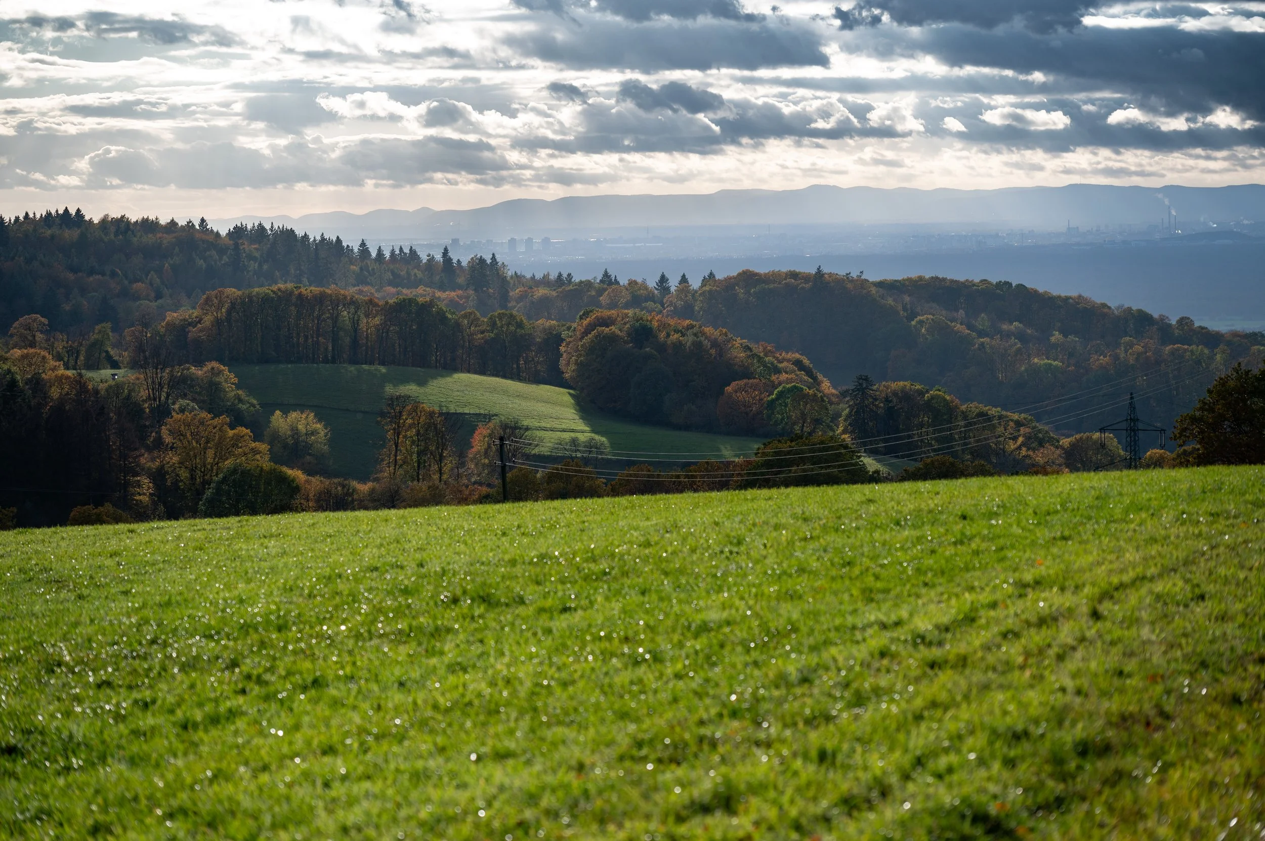Juhöhe (26 von 31).jpg