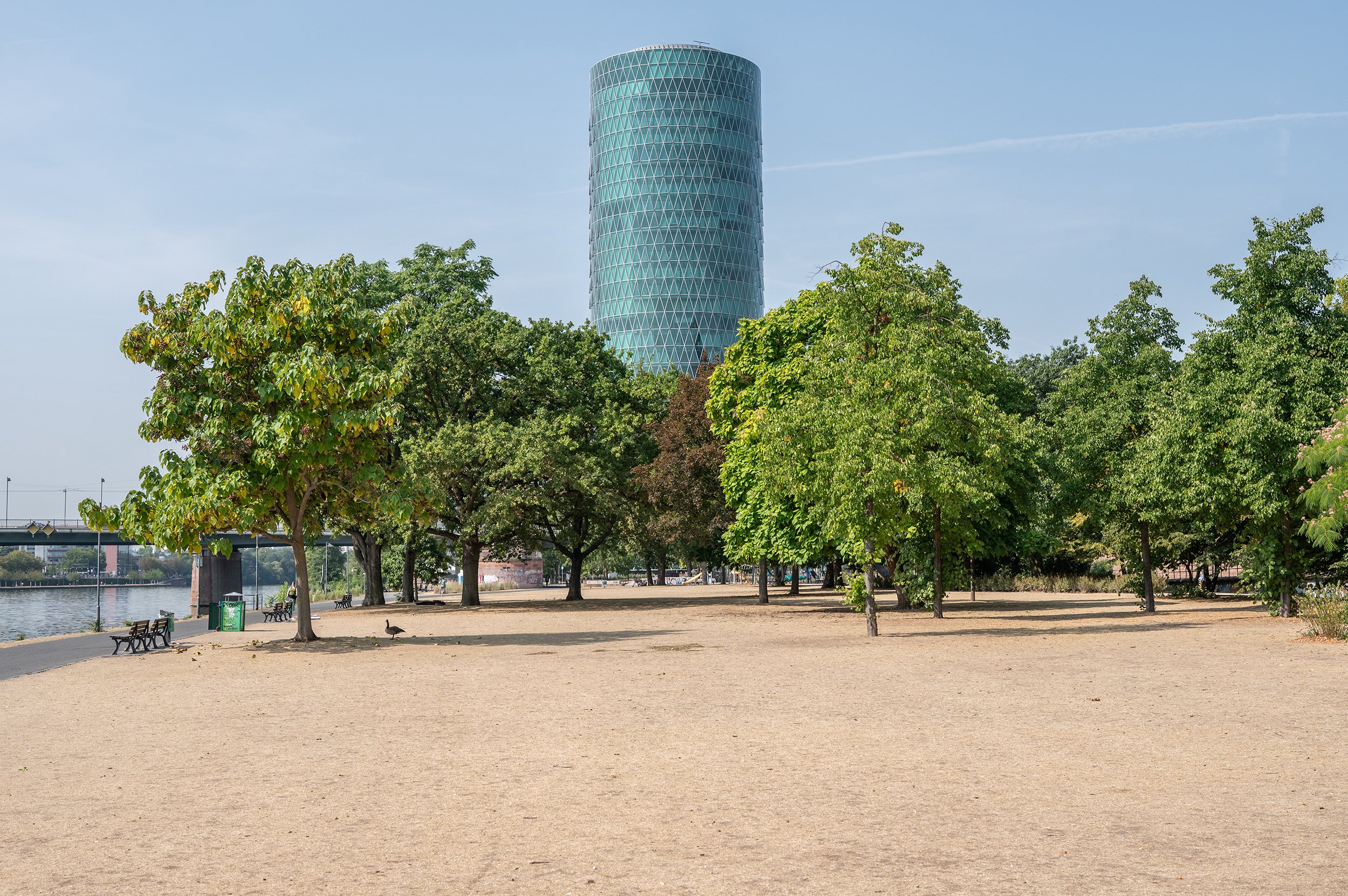SQ Palmengarten.jpg