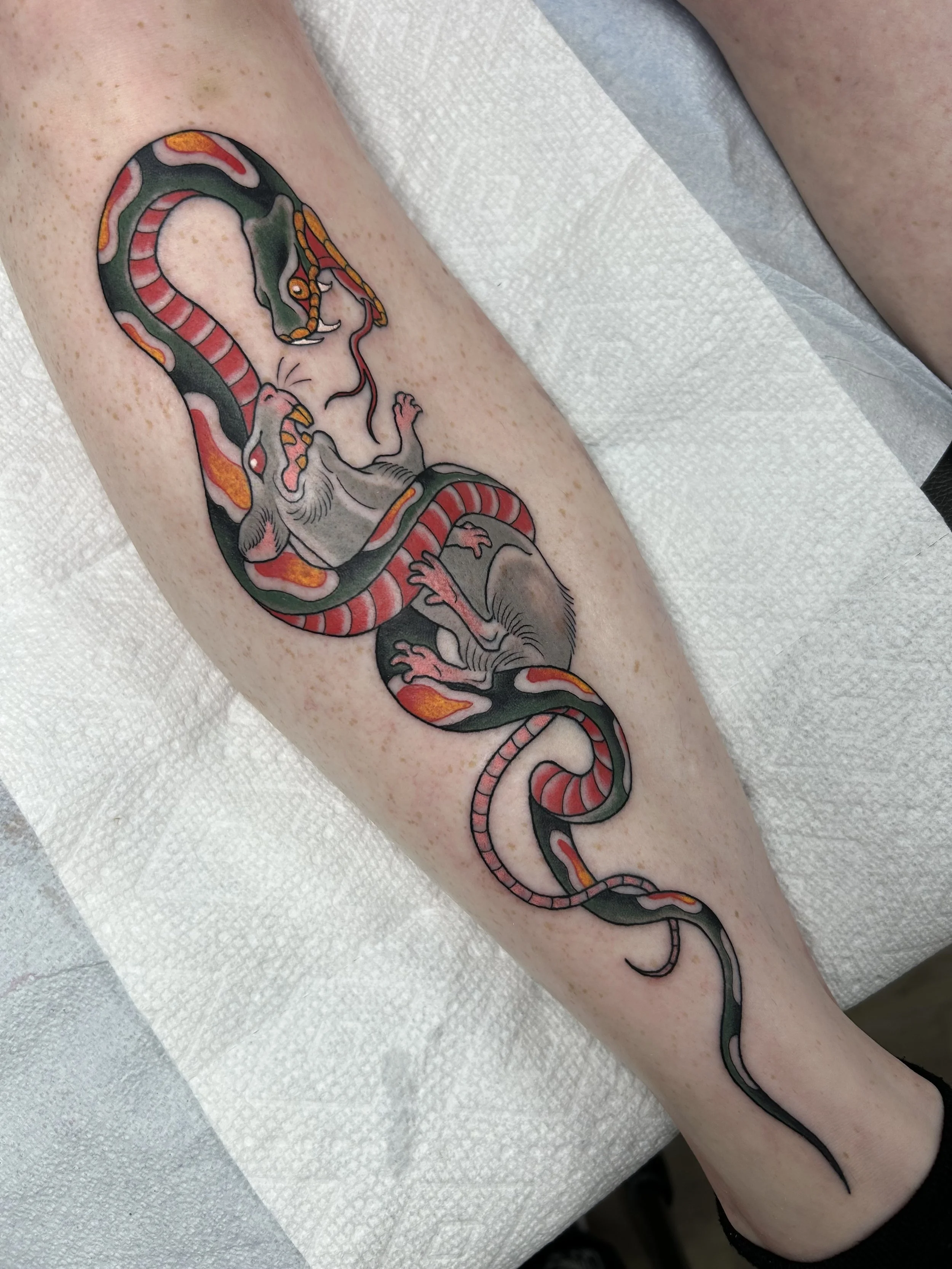 A tattoo of a snake biting the head of a rat on a person's arm.