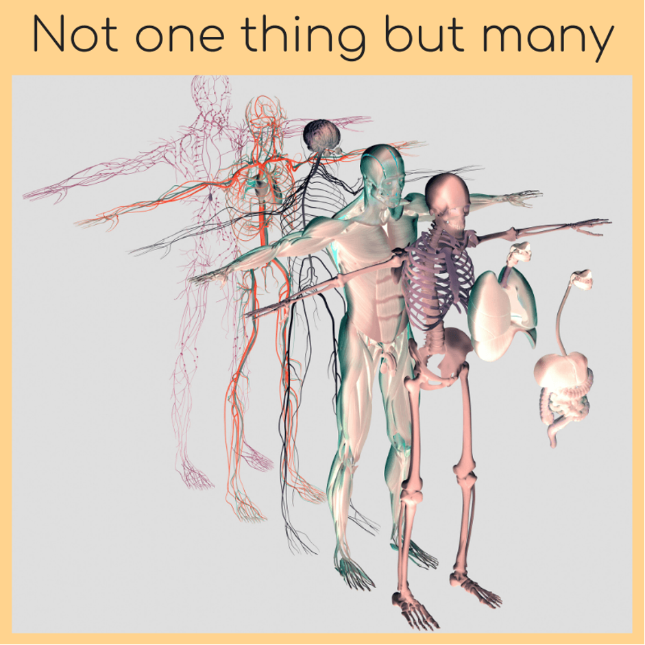 Not one thing, but many