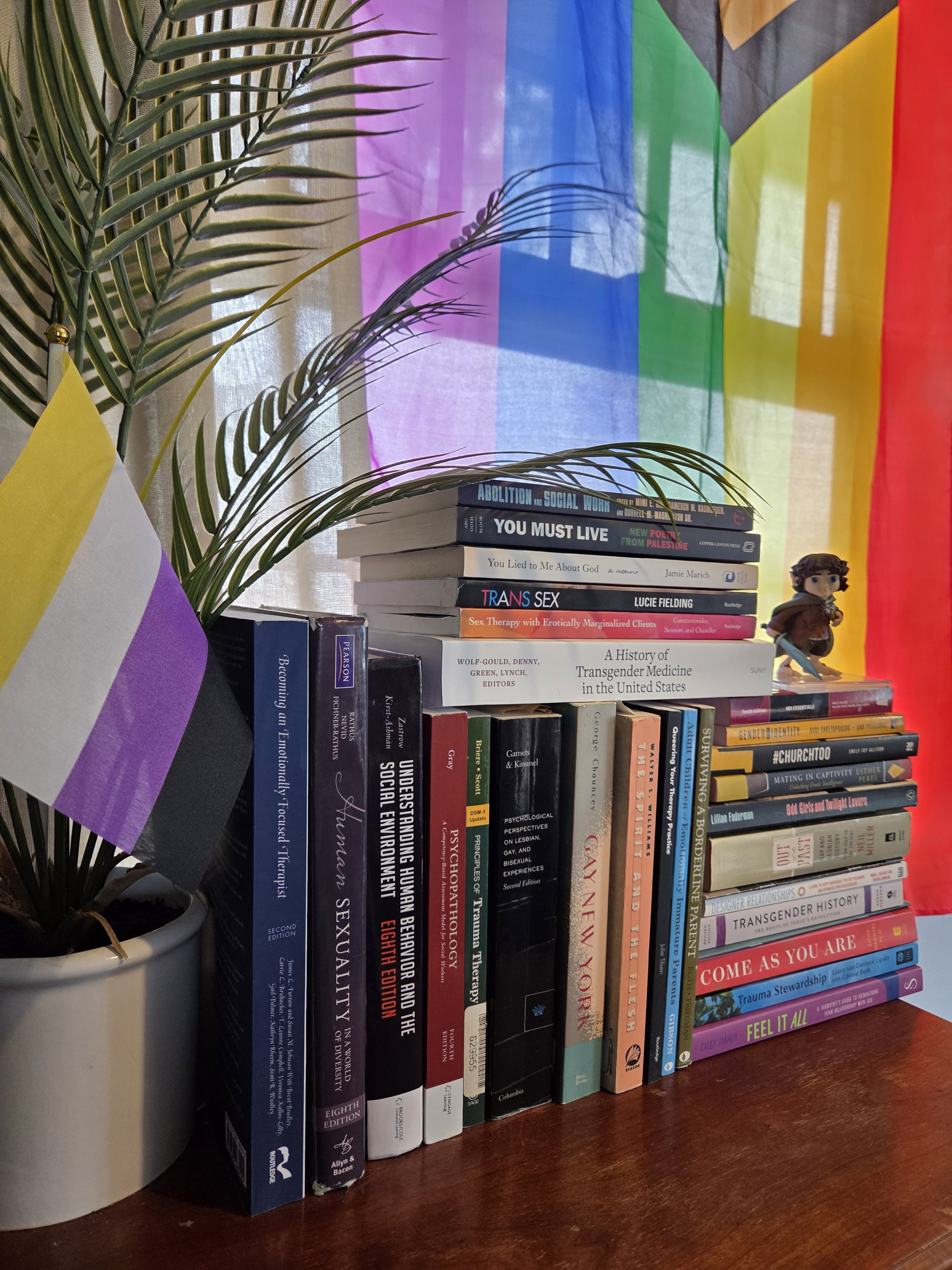 A collection of books about gender, sexuality, and social issues stacked on a wooden surface next to a potted plant with colorful rainbow flags in the background.