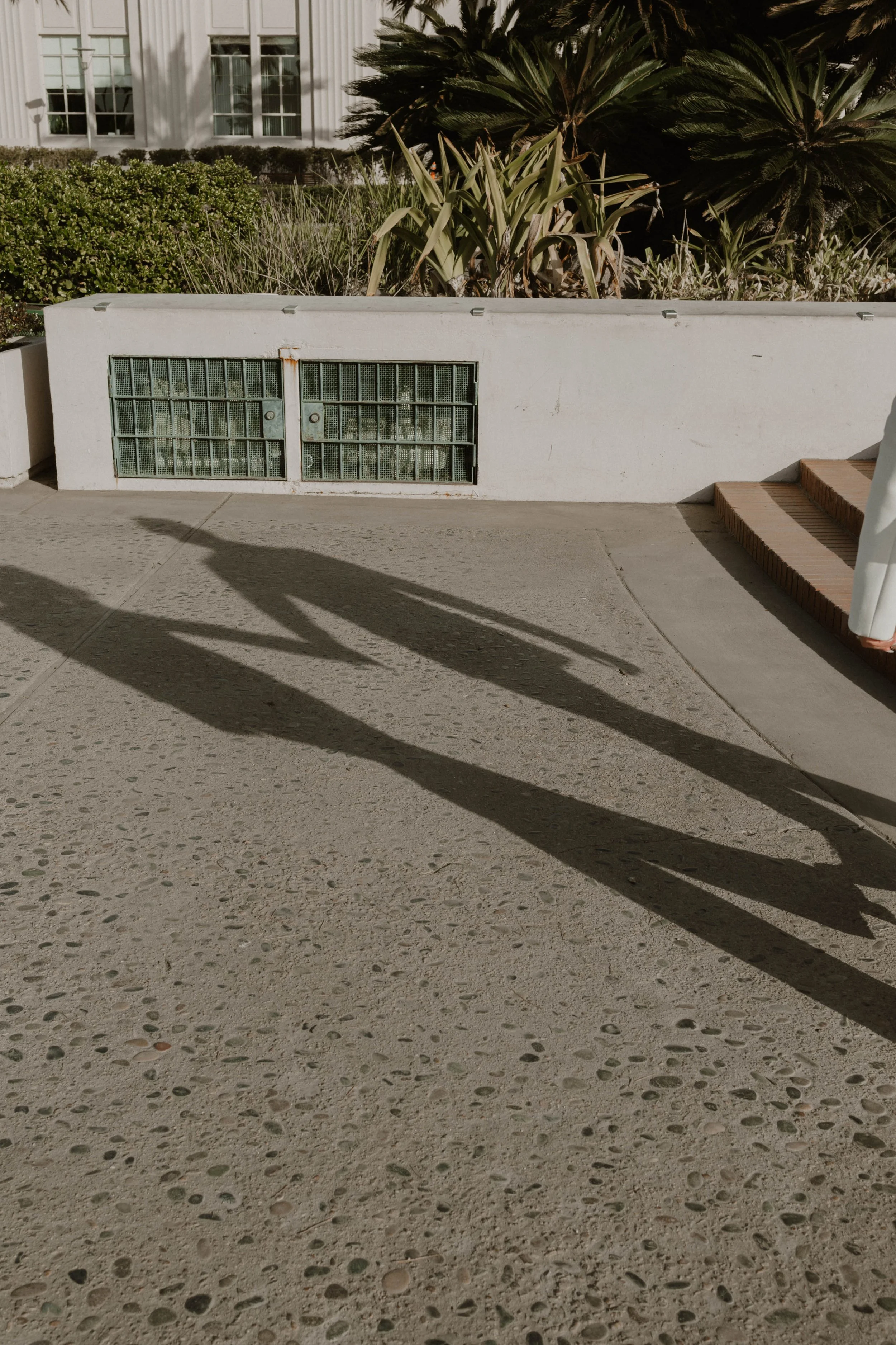 Expandia immigration document preparation — K-1 visa and Adjustment of Status filing support