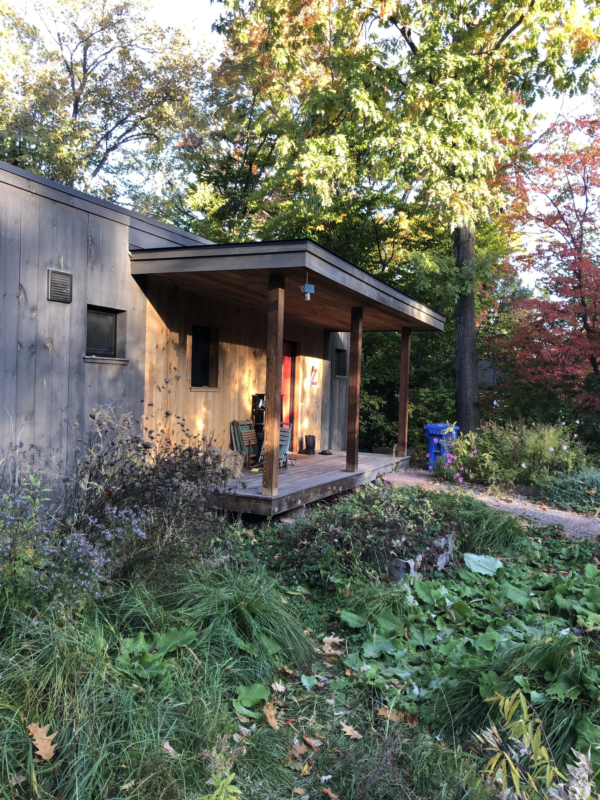 A rustic wooden house with a small covered porch surrounded by greenery and autumn foliage.