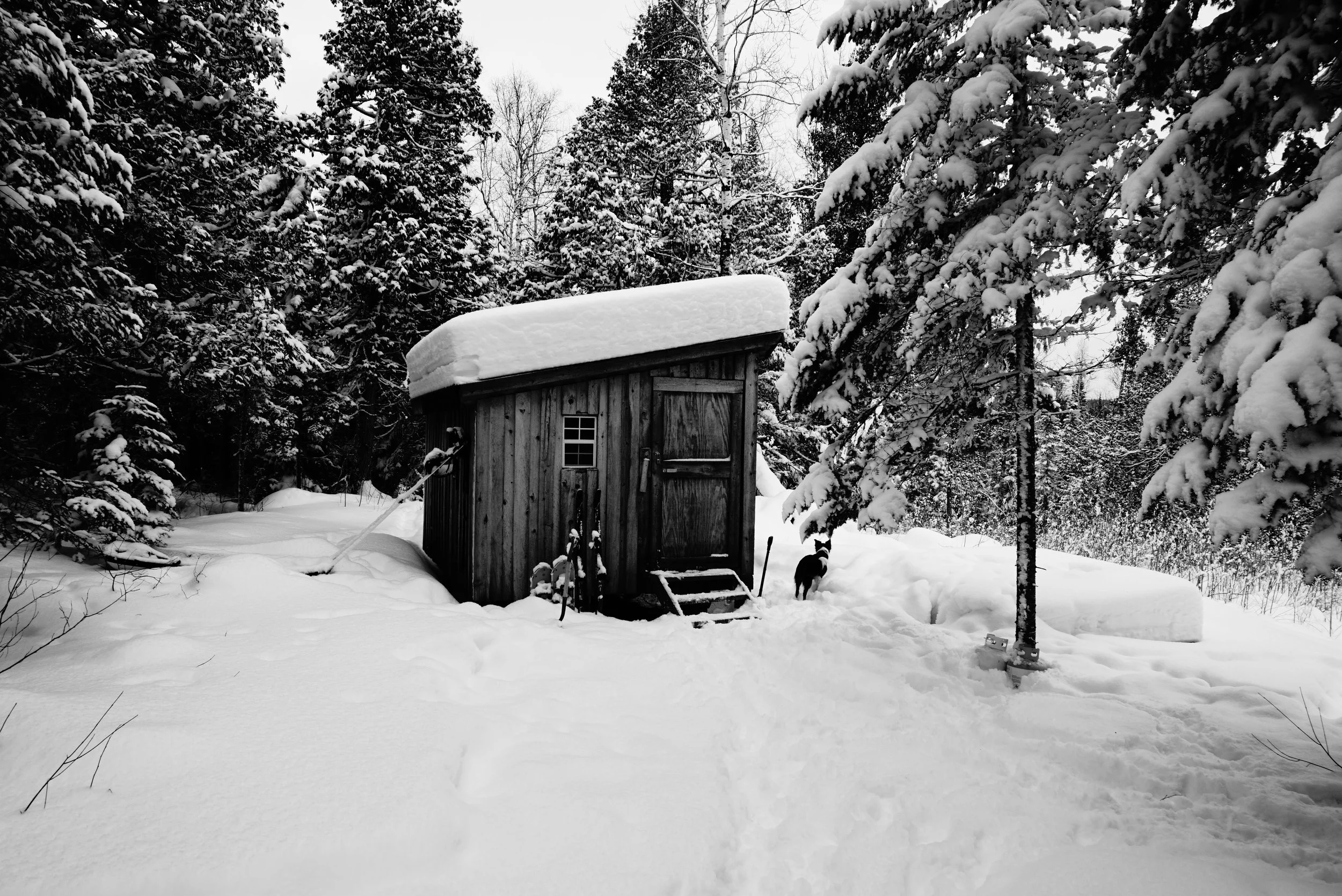 Winter Cabin; Hovland, MN