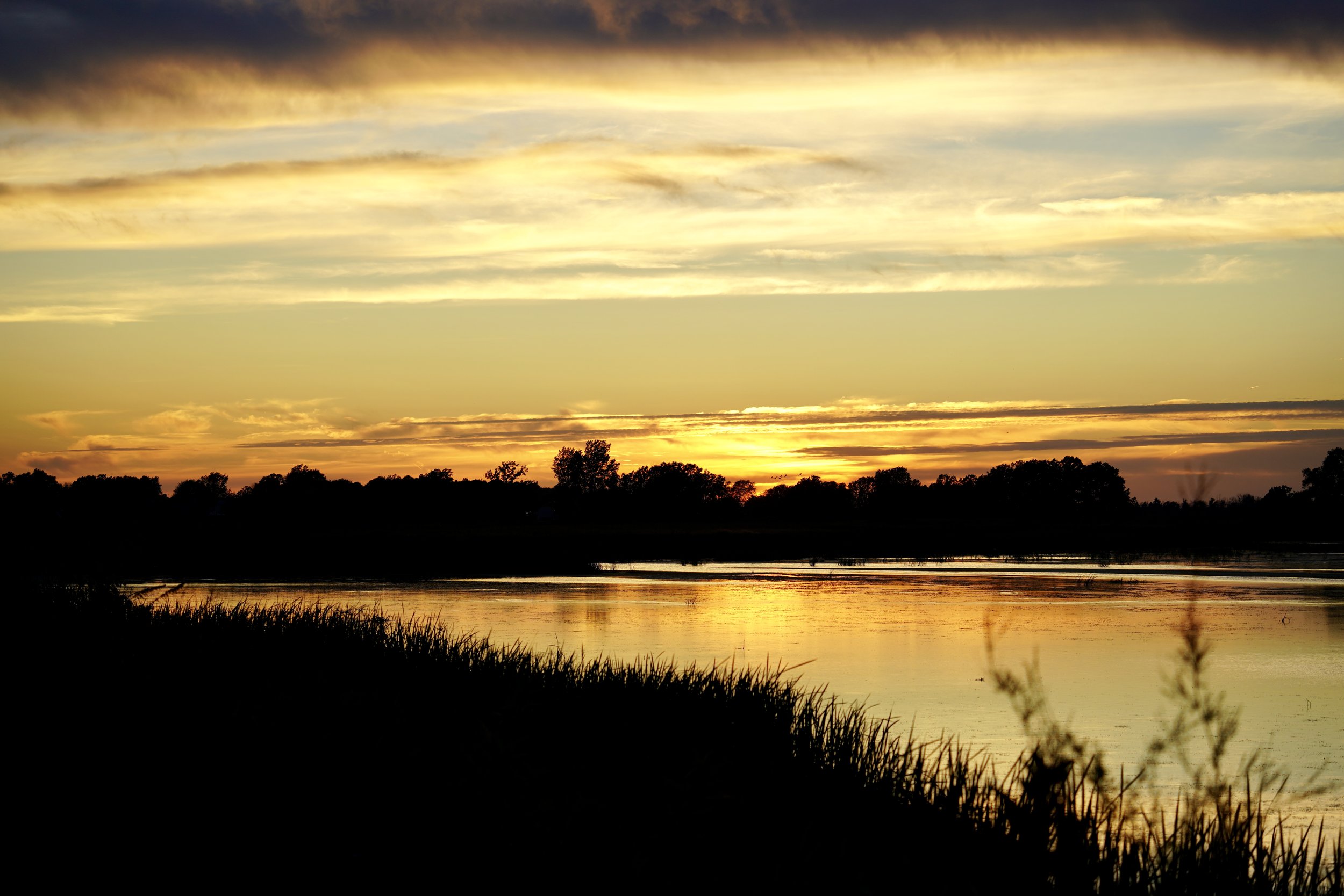Collins Marsh 1; Collins, WI