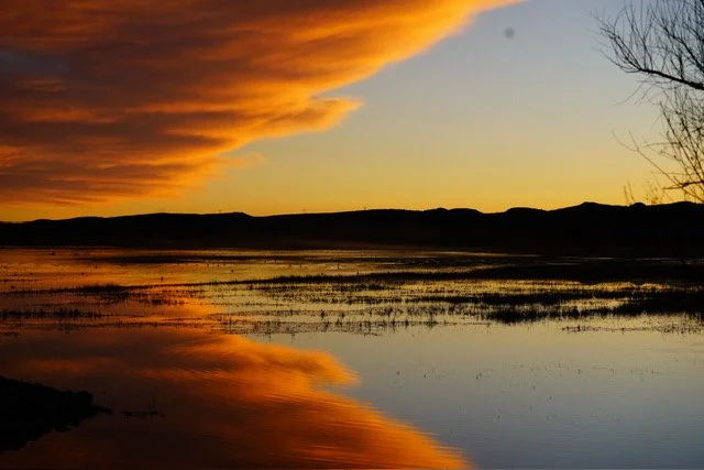 Sunset; Bosque Del Apache, NM