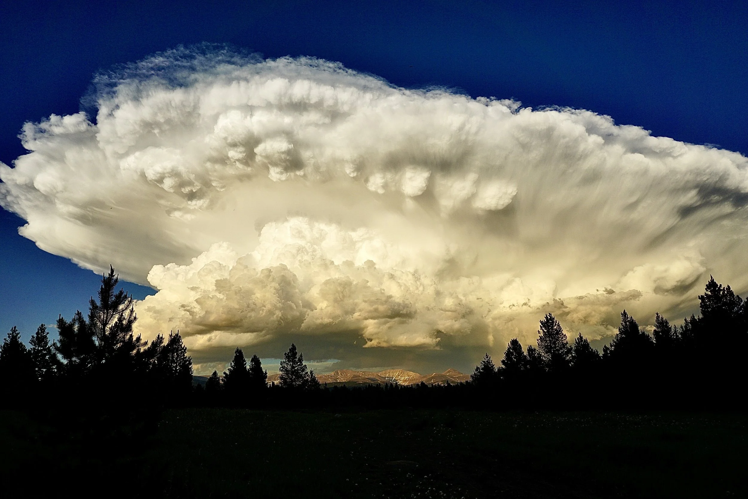Summer Storm 6; Leadville, WI