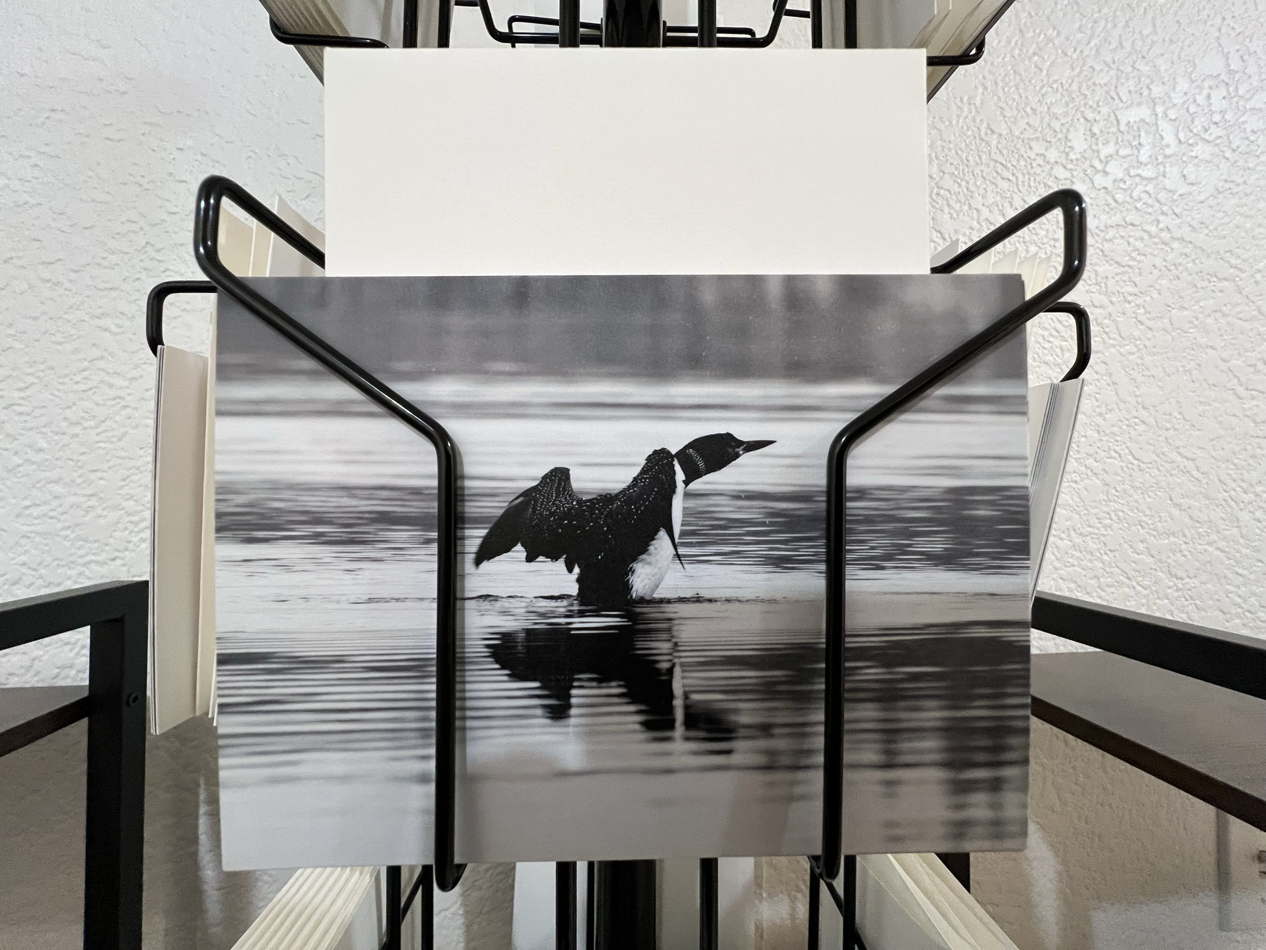 tempImage57IGKN.png