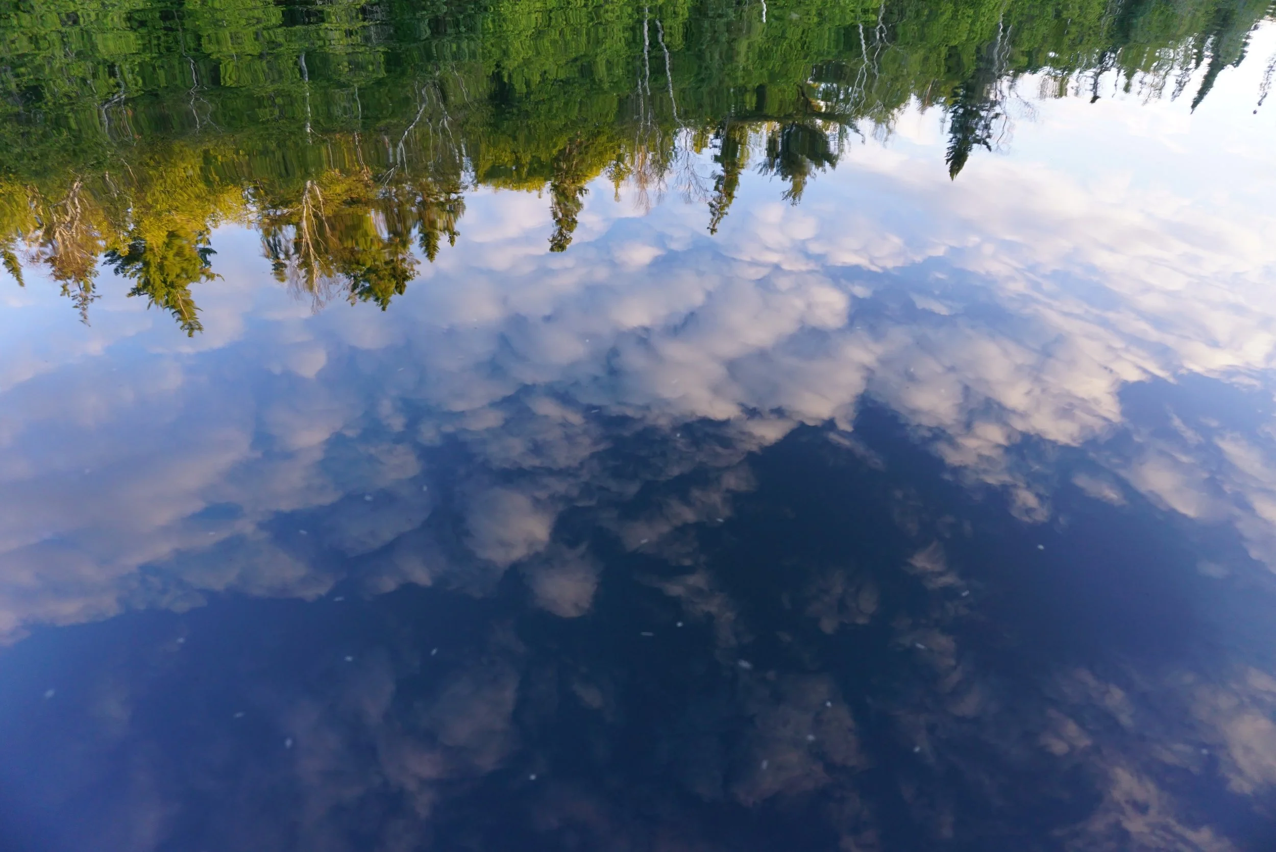 Blue Sky Reflection; Boundary Waters Canoe Area Wilderness, MN