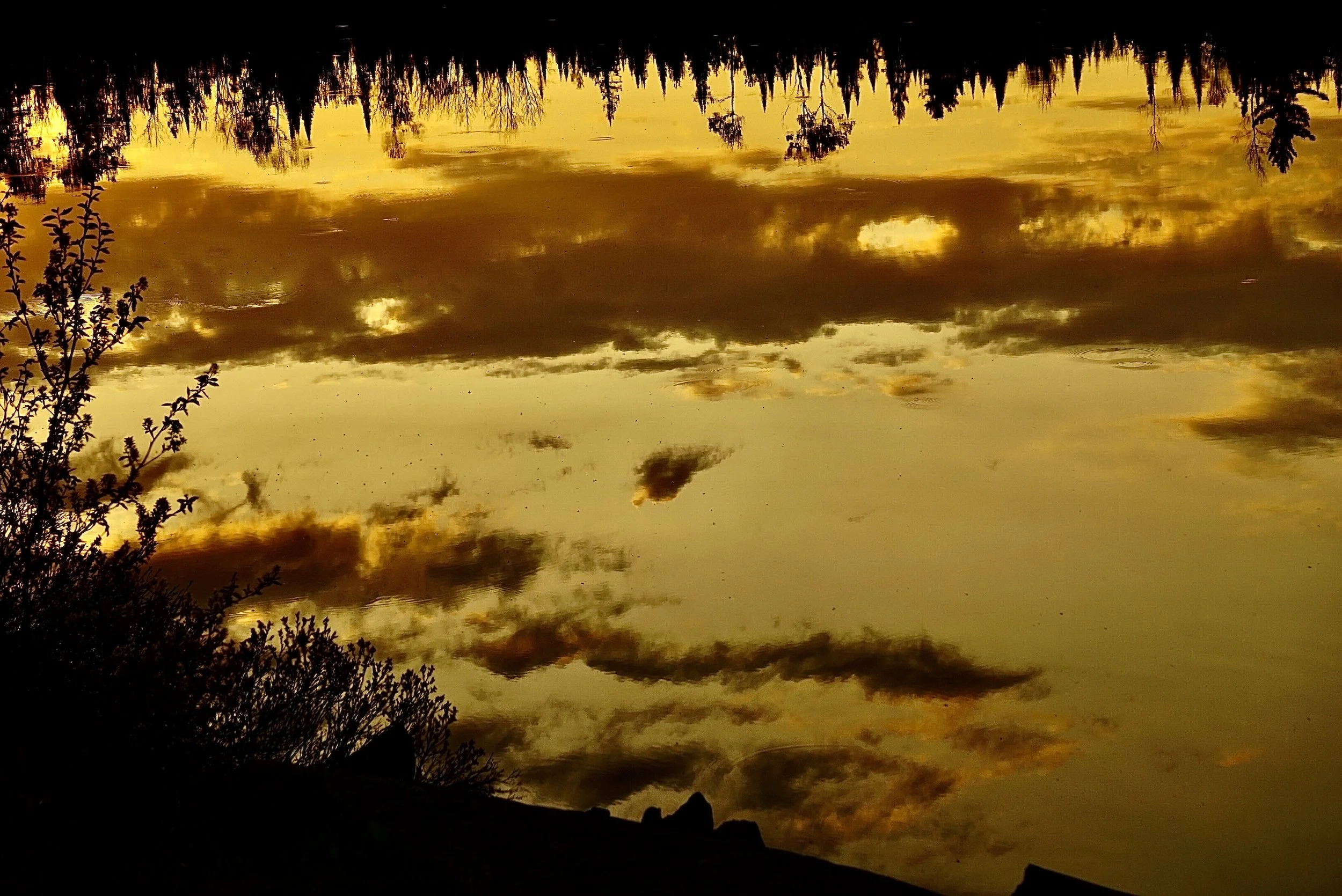 Shades of Yellow Reflection; Boundary Waters Canoe Area Wilderness, MN