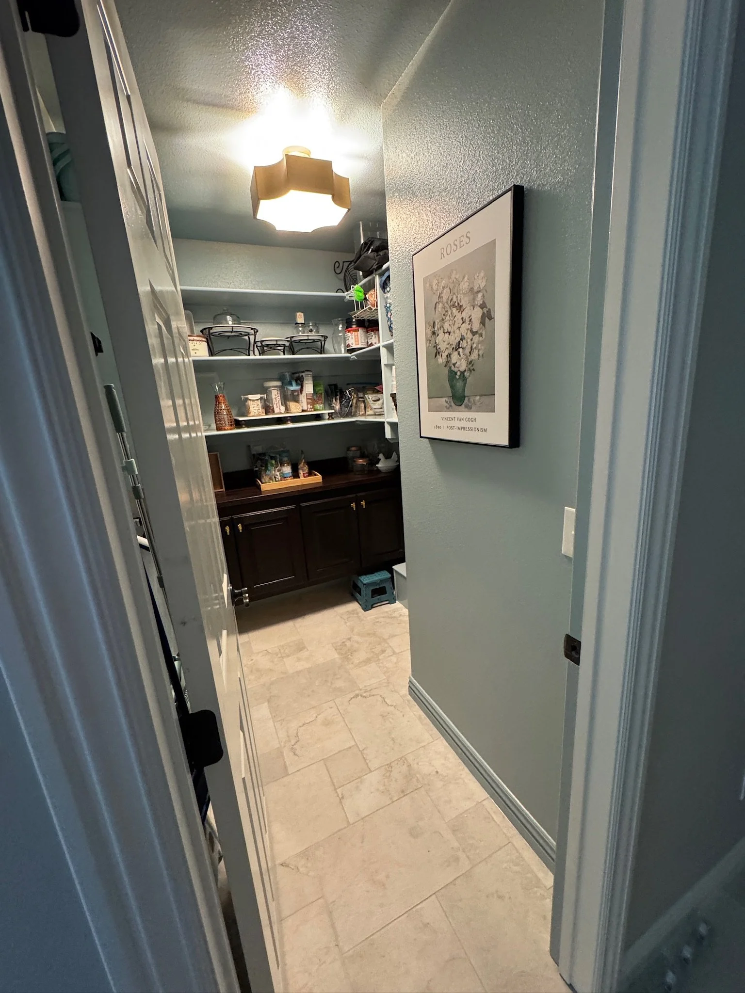 Paint Color Selection