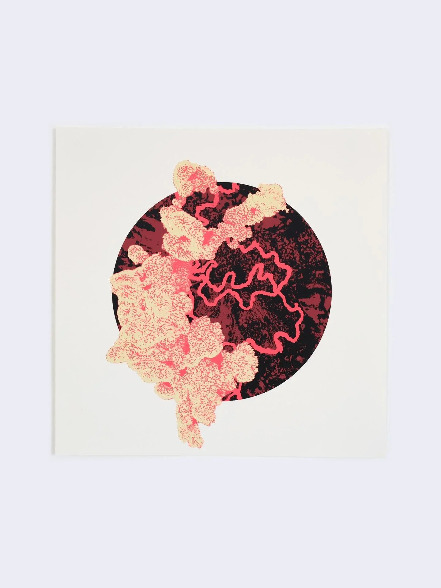 First sketch, color ideas and digital drawing on my ipad of Simpoiesis III. The expanding process of the first idea of the first silkscreen brought the this one to light.

These compositions reflect ecosystems in constant flux and ecological relation