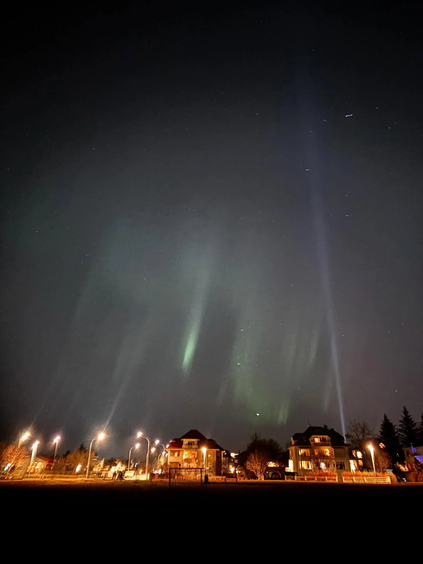 It has been three weeks since I returned from the Bonfire Nomadic Residency in Iceland, and the experience remains deeply resonant. It invited me to slow down, be present, and connect with the non-human while fully inhabiting each moment.

I had drea